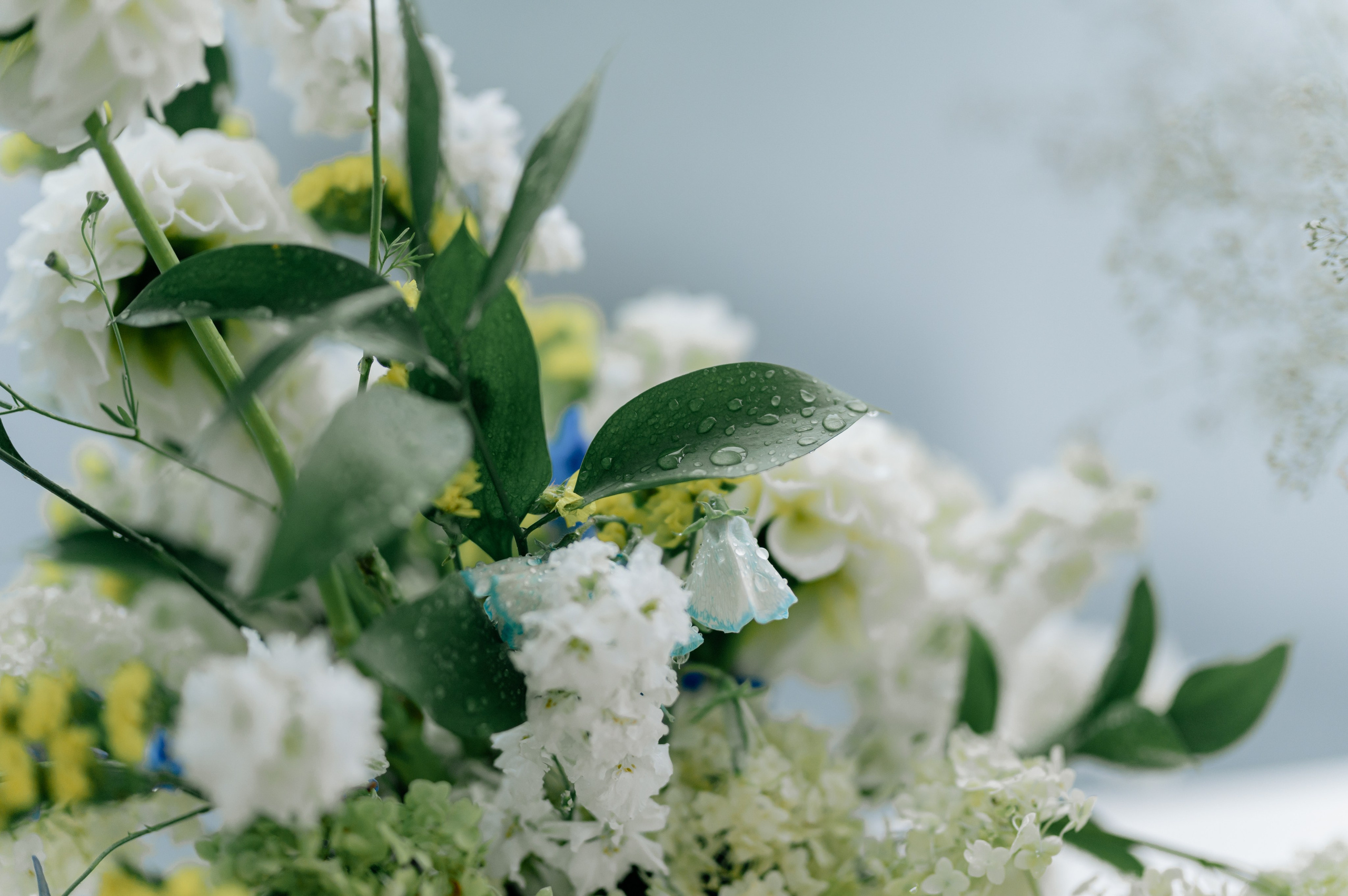 Павел и Элина. Свадебный фотограф Минск, Пинск, Брест, Гродно Чернигов Андрей