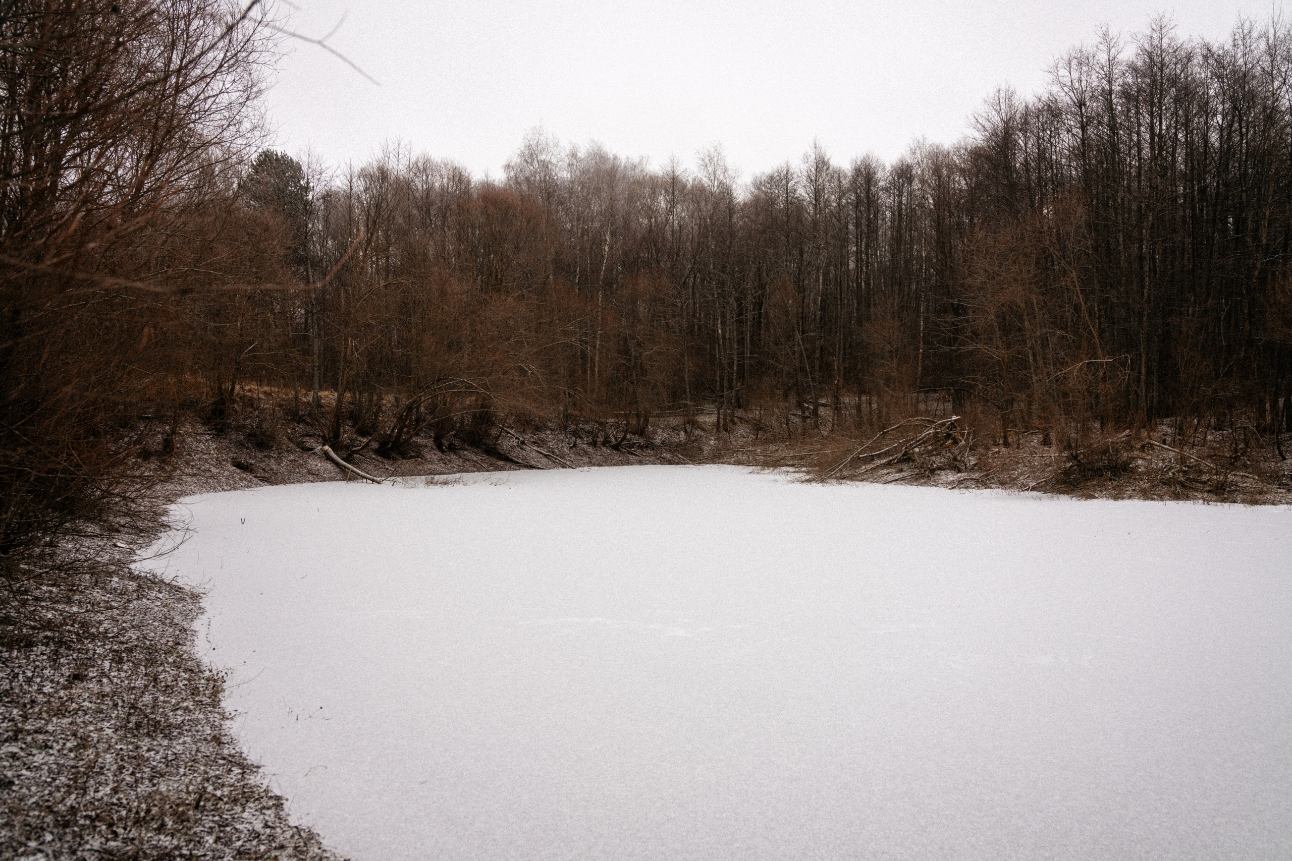 Прогулка по оврагу близ реки. Vlad Trykov