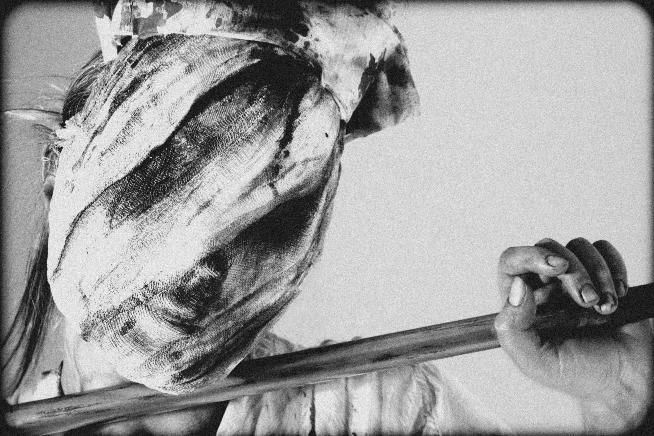 Портфолио. Хвоя и спирт