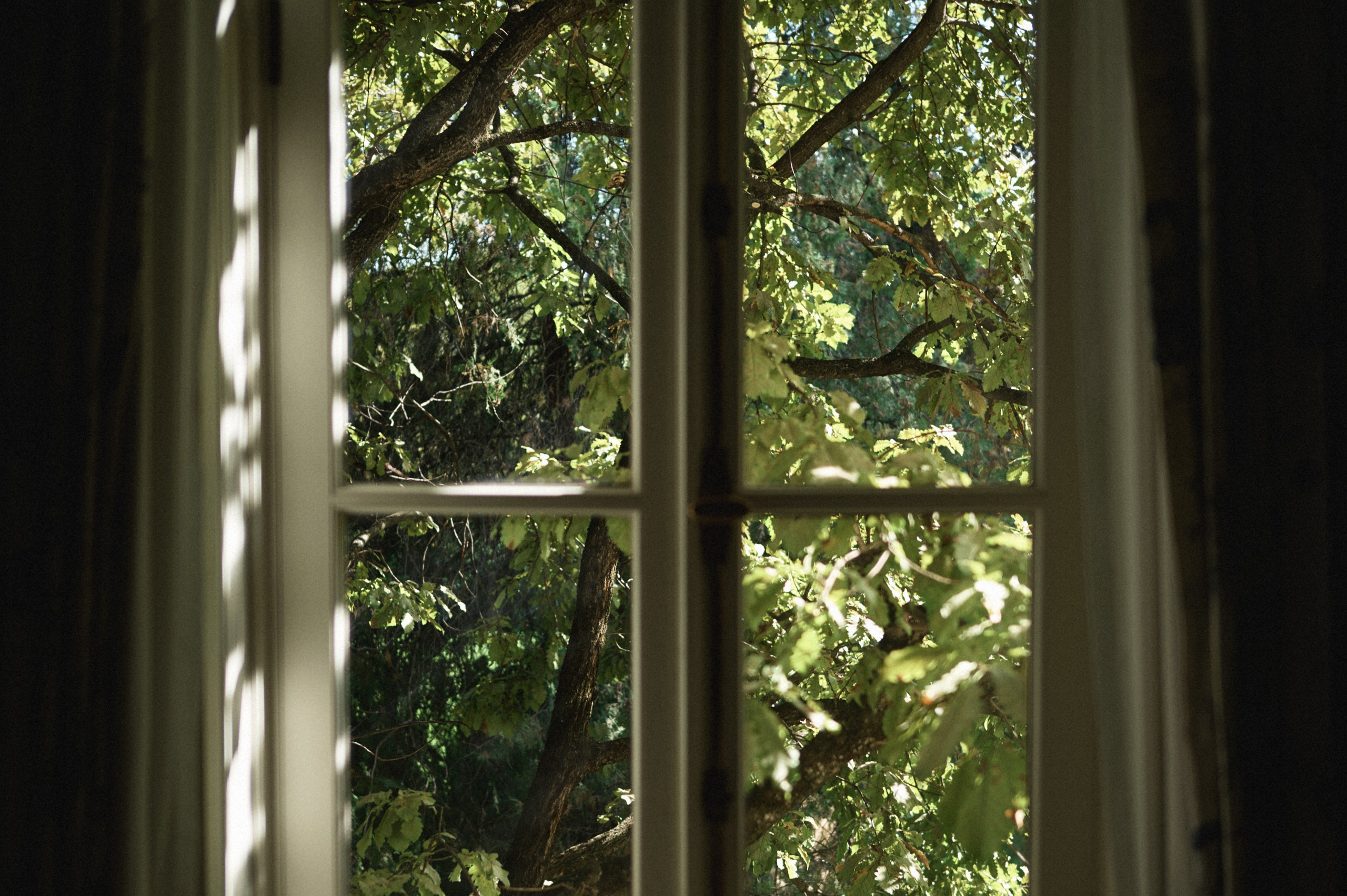 Maximilian&Polina. Sasha&Karina Photographers