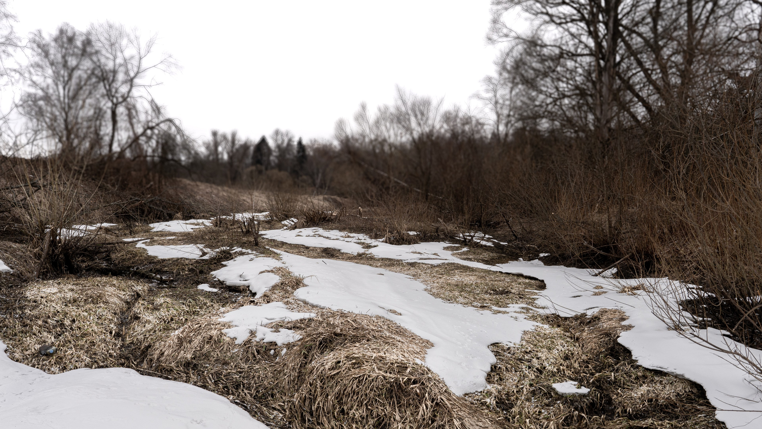 Дача. ПОБУДЬ ЗДЕСЬ И ЦЕЛЕЕ БУДЕТ ЭТОТ МИР