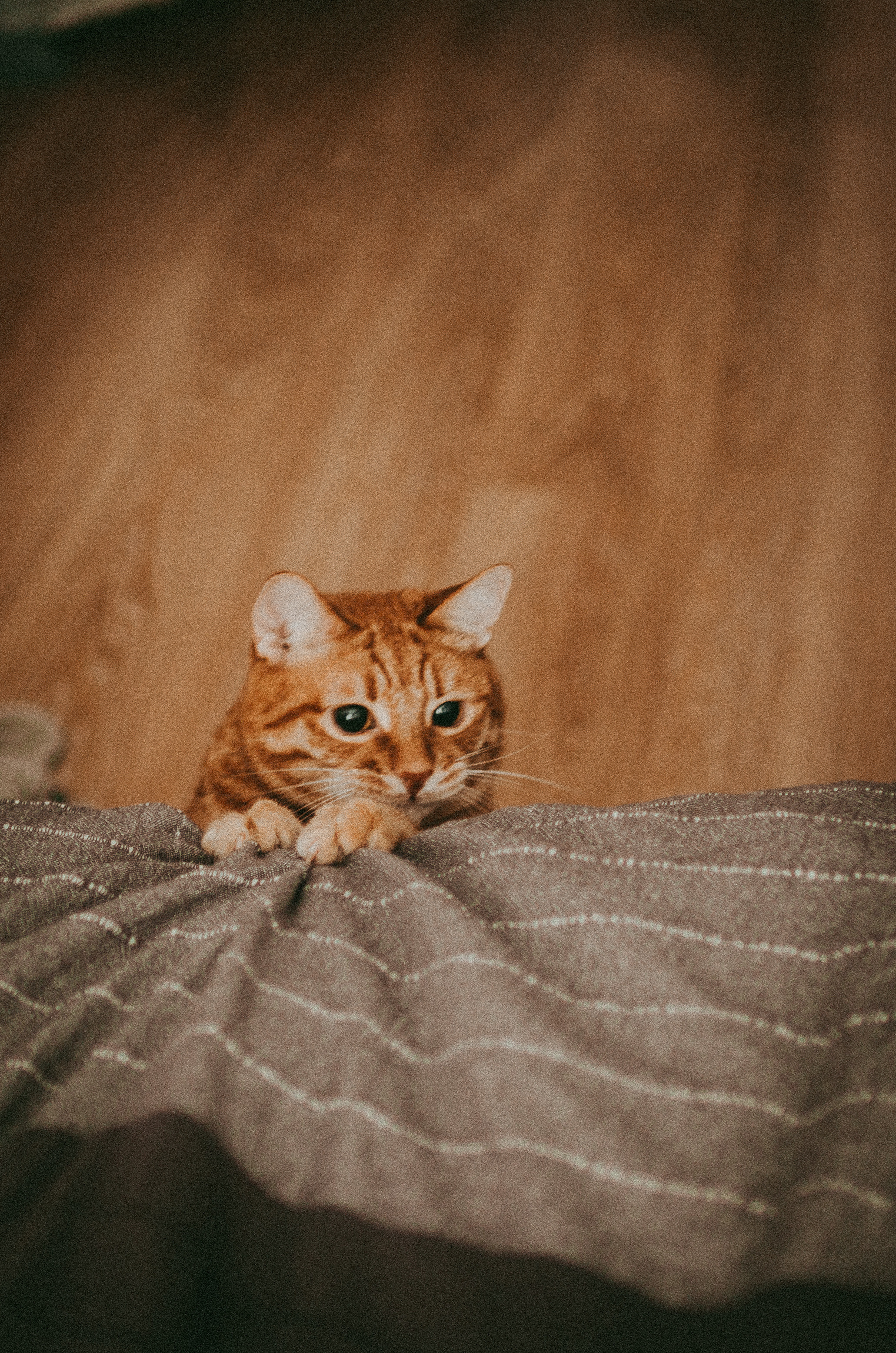 Про любовь, искренность и творчество. Семейный фотограф в Екатеринбурге Всеволод и Марина Пономаревы