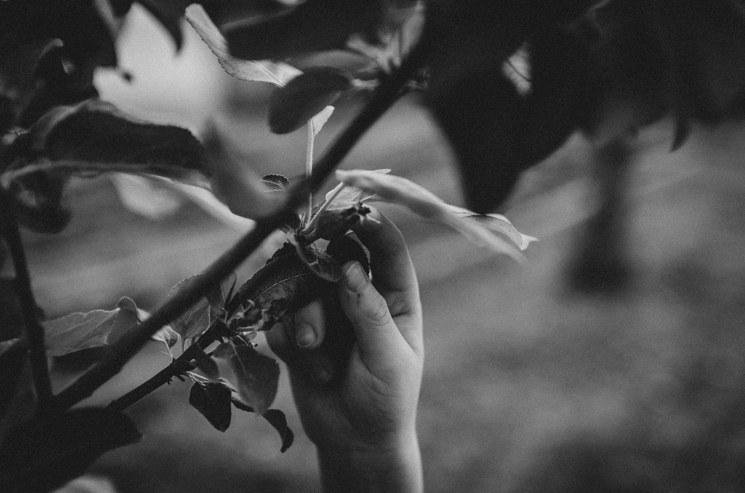 Лето — это маленькая жизнь. Семейный фотограф в Екатеринбурге Всеволод и Марина Пономаревы