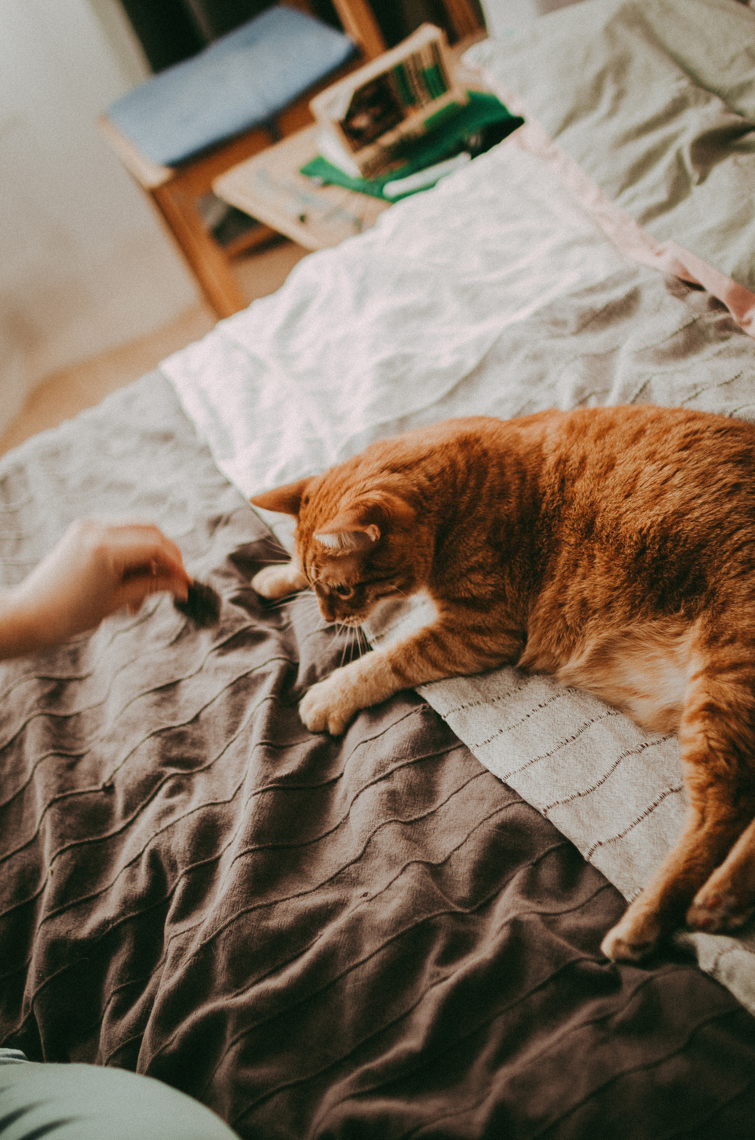Про любовь, искренность и творчество. Семейный фотограф в Екатеринбурге Всеволод и Марина Пономаревы