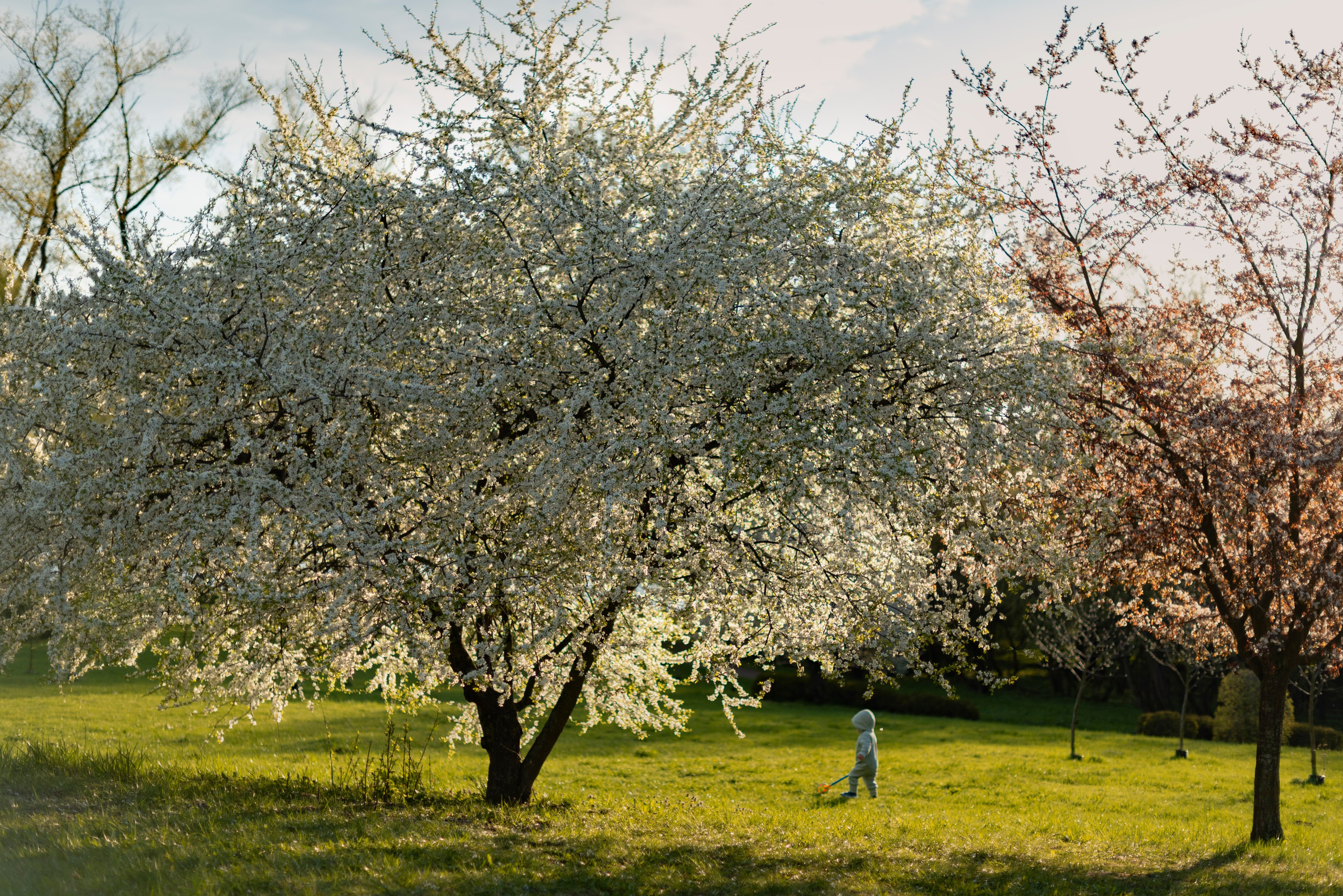Семья в Лошицком парке. Фотограф Крещения и Венчания. Минск и другие города. Почтенная Наташа