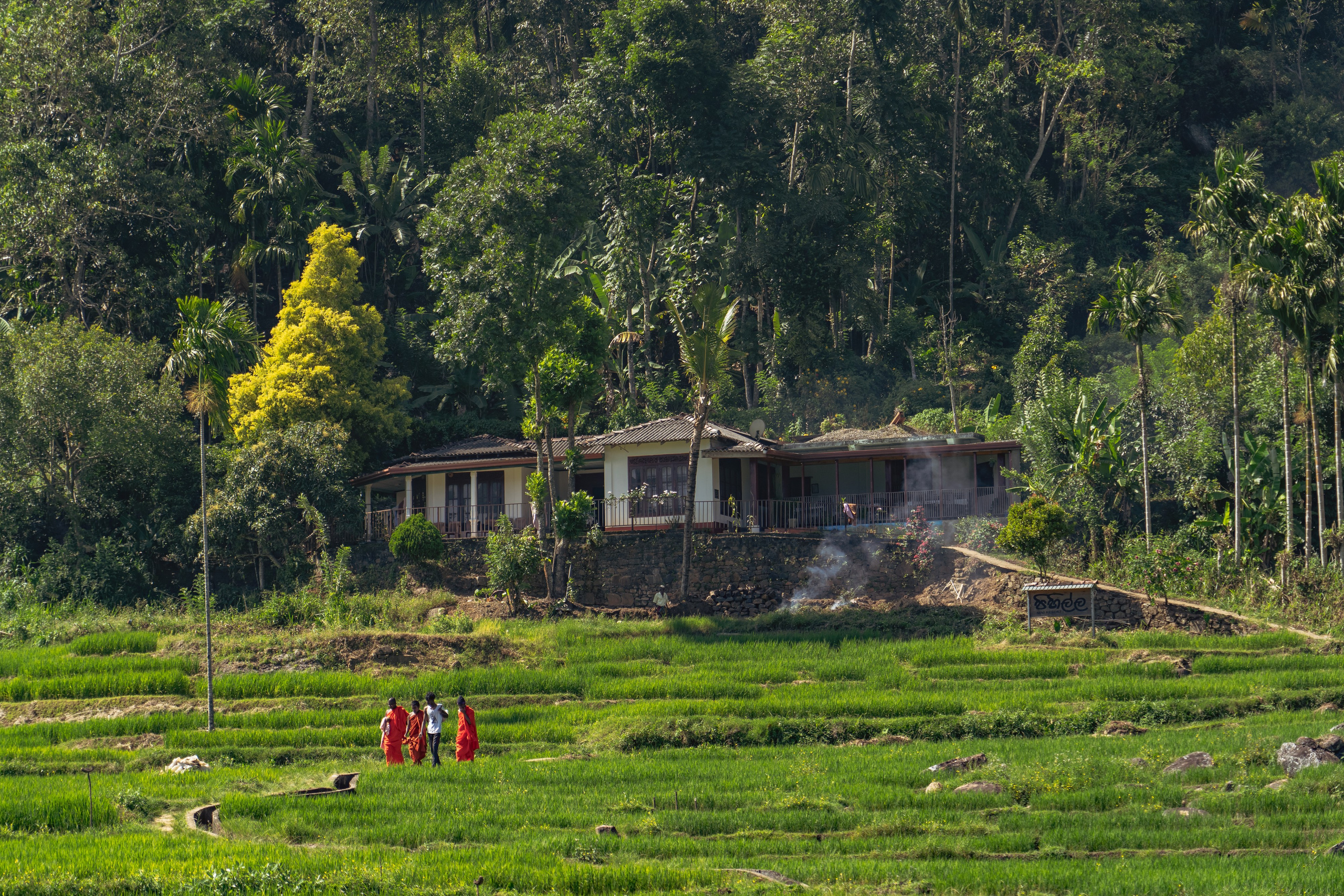 Promo content shooting for Ceylon Forward Tours