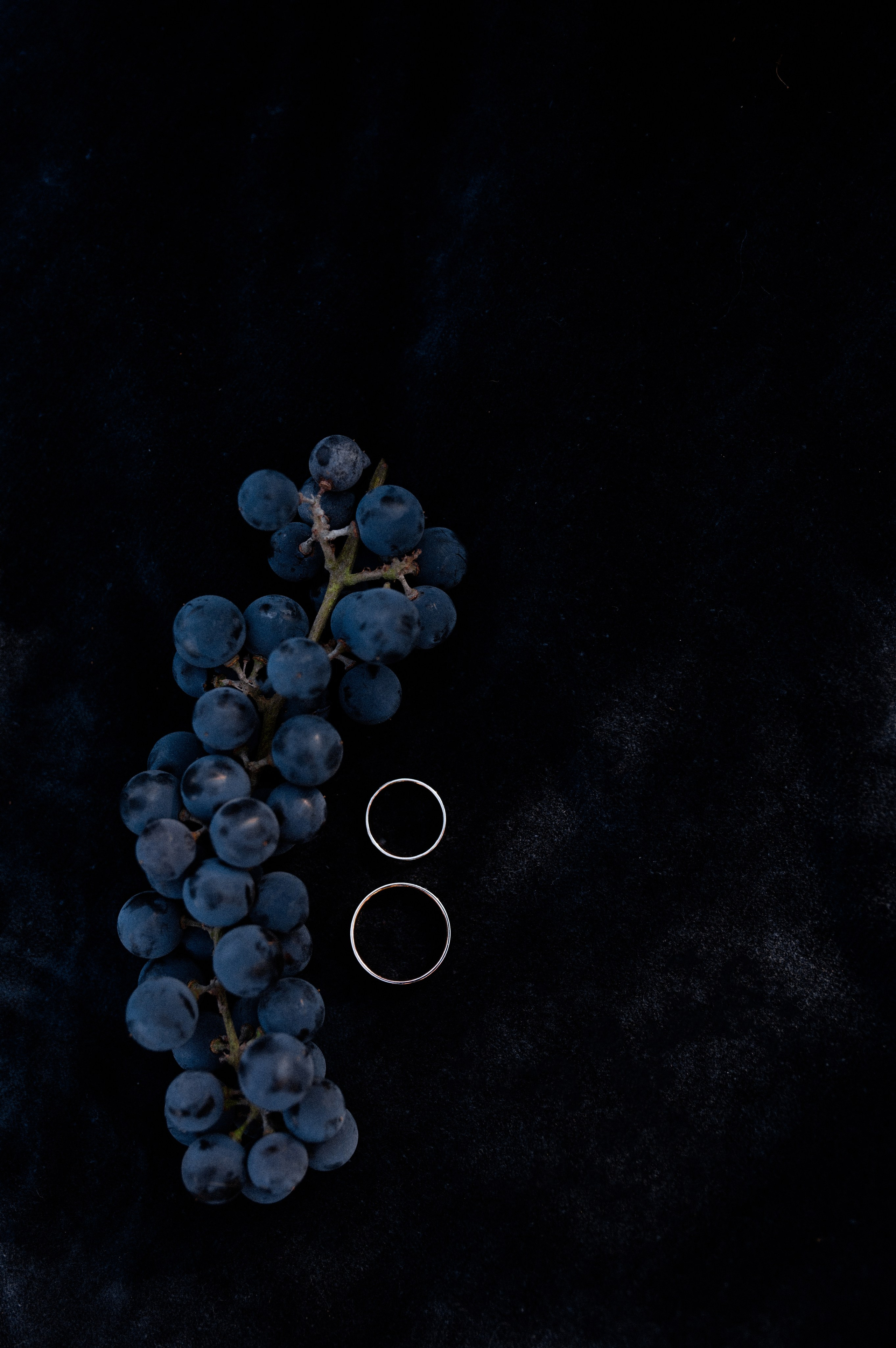 Дмитрий и Ирина Свадебный день 13.09.2025. Свадебный и семейный фотограф Волгоград Анастасия Садовникова