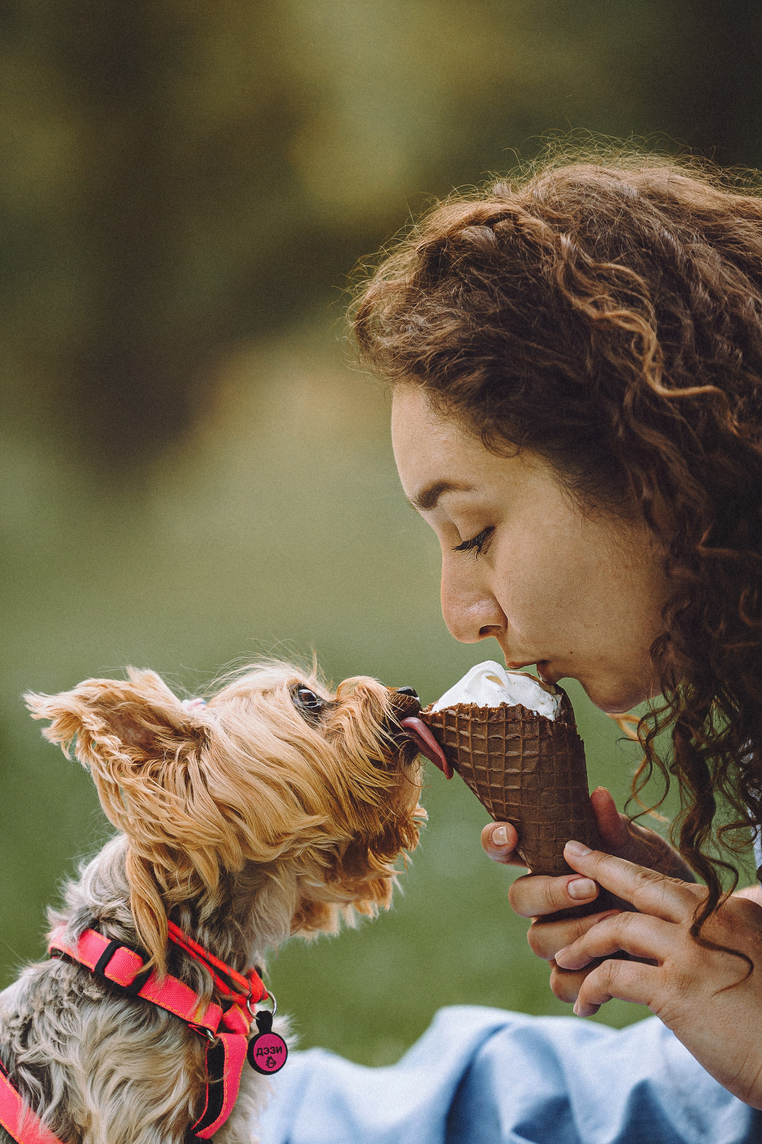 Даша и Дэзи