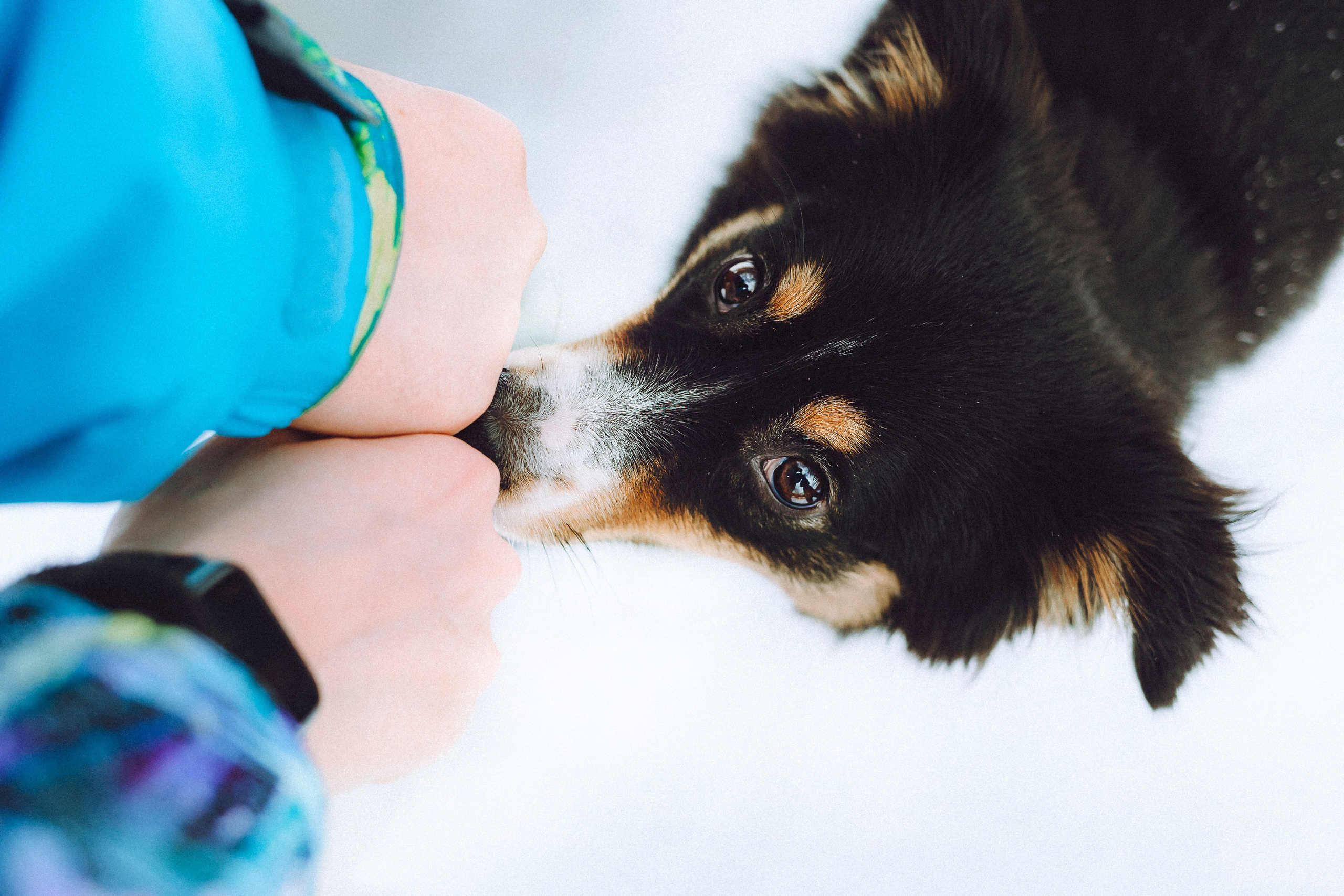Таня, Ваня и Гром
