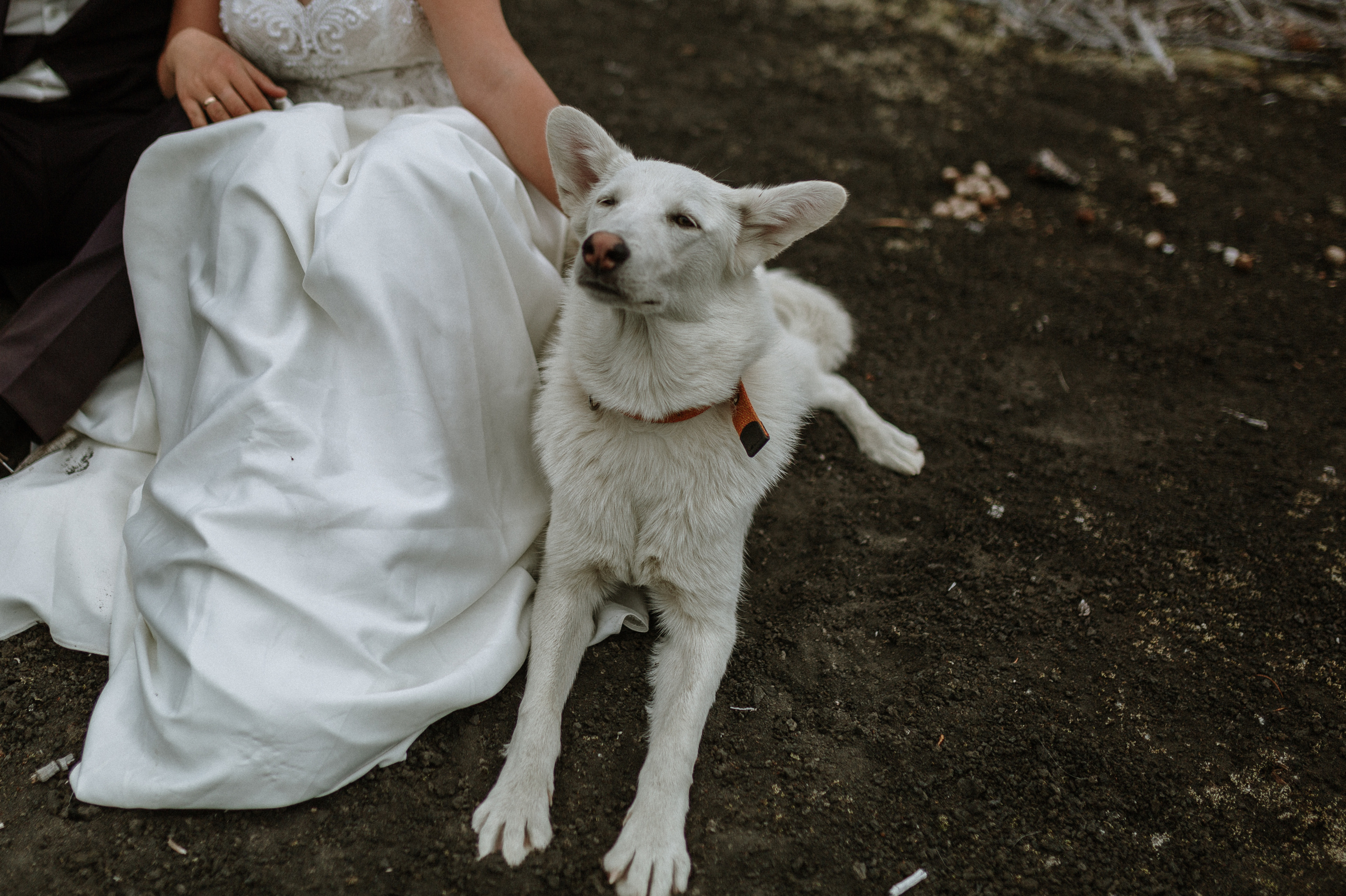 Igor & Anastasiya. Свадебное фото и видео на Камчатке. Туристические маршруты