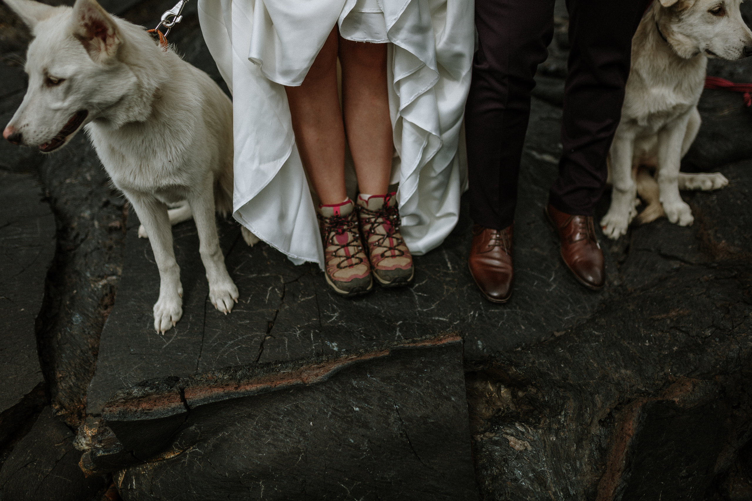 Igor & Anastasiya. Свадебное фото и видео на Камчатке. Туристические маршруты