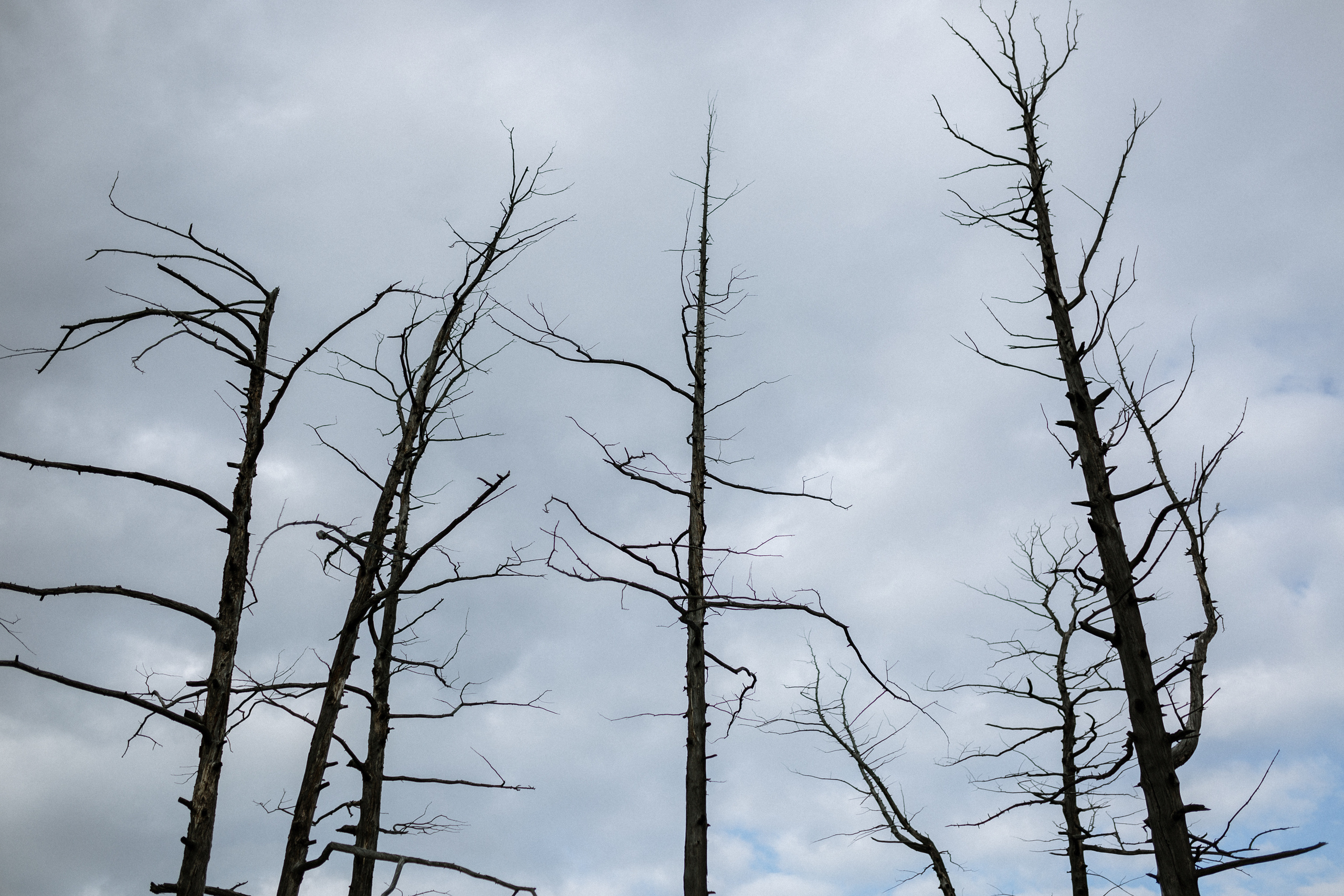 Igor & Anastasiya. Свадебное фото и видео на Камчатке. Туристические маршруты
