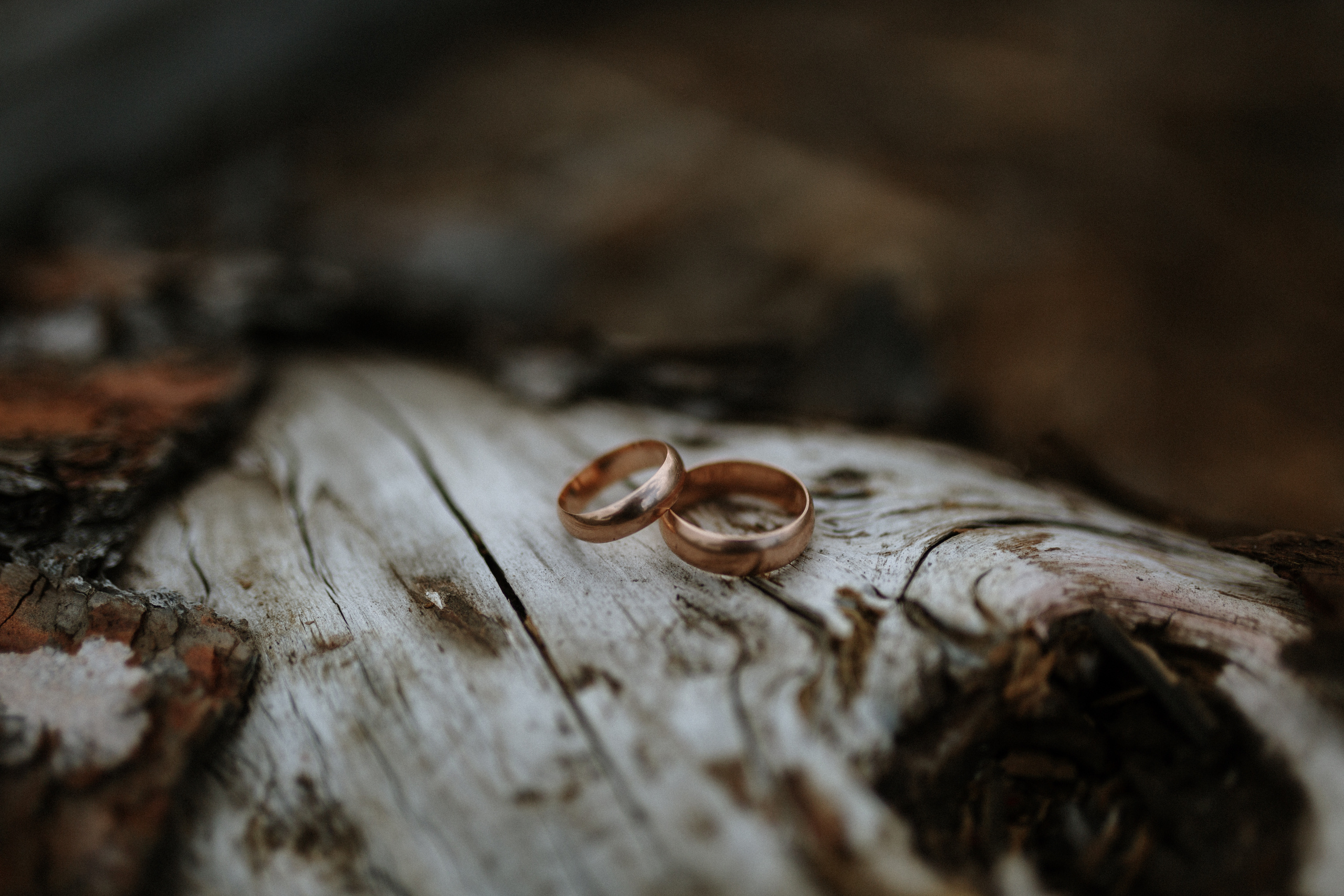 Igor & Anastasiya. Свадебное фото и видео на Камчатке. Туристические маршруты