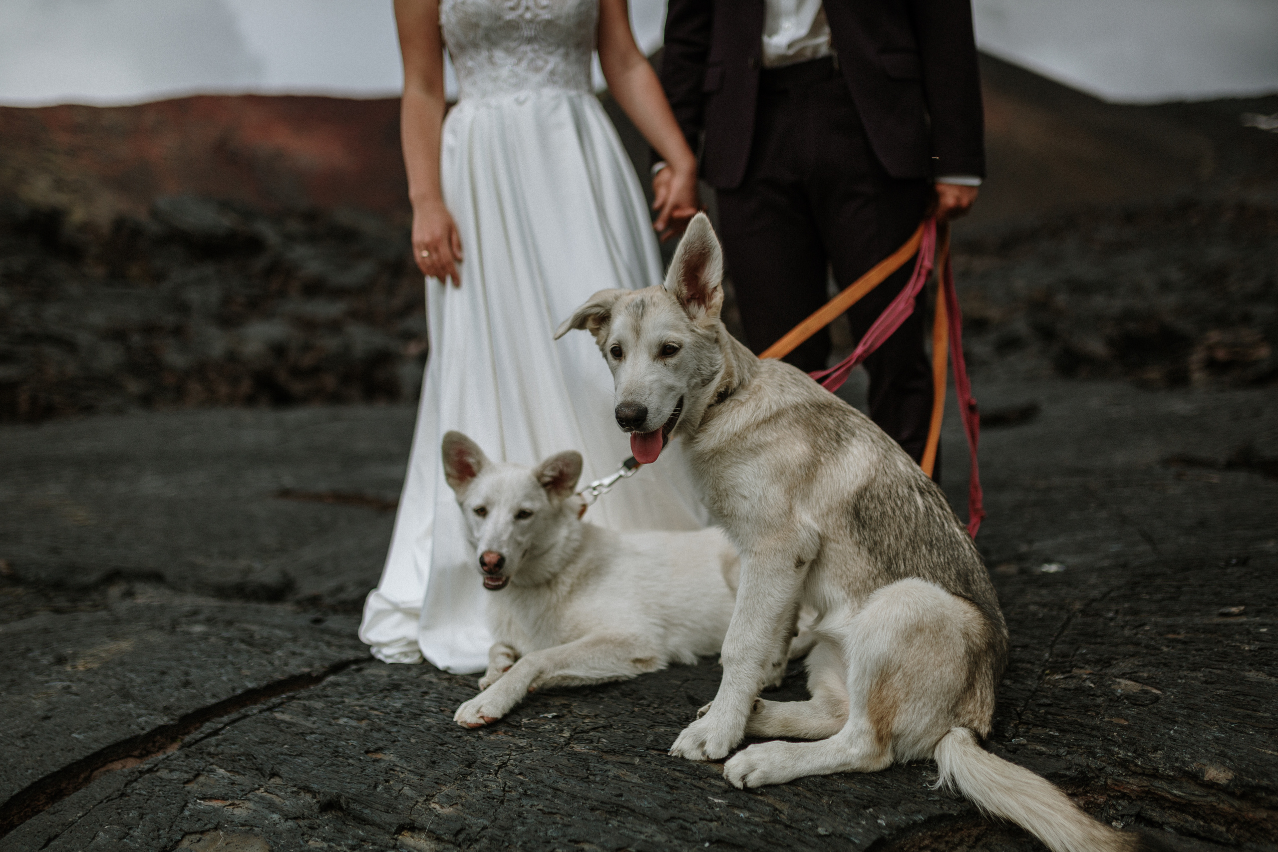 Igor & Anastasiya. Свадебное фото и видео на Камчатке. Туристические маршруты