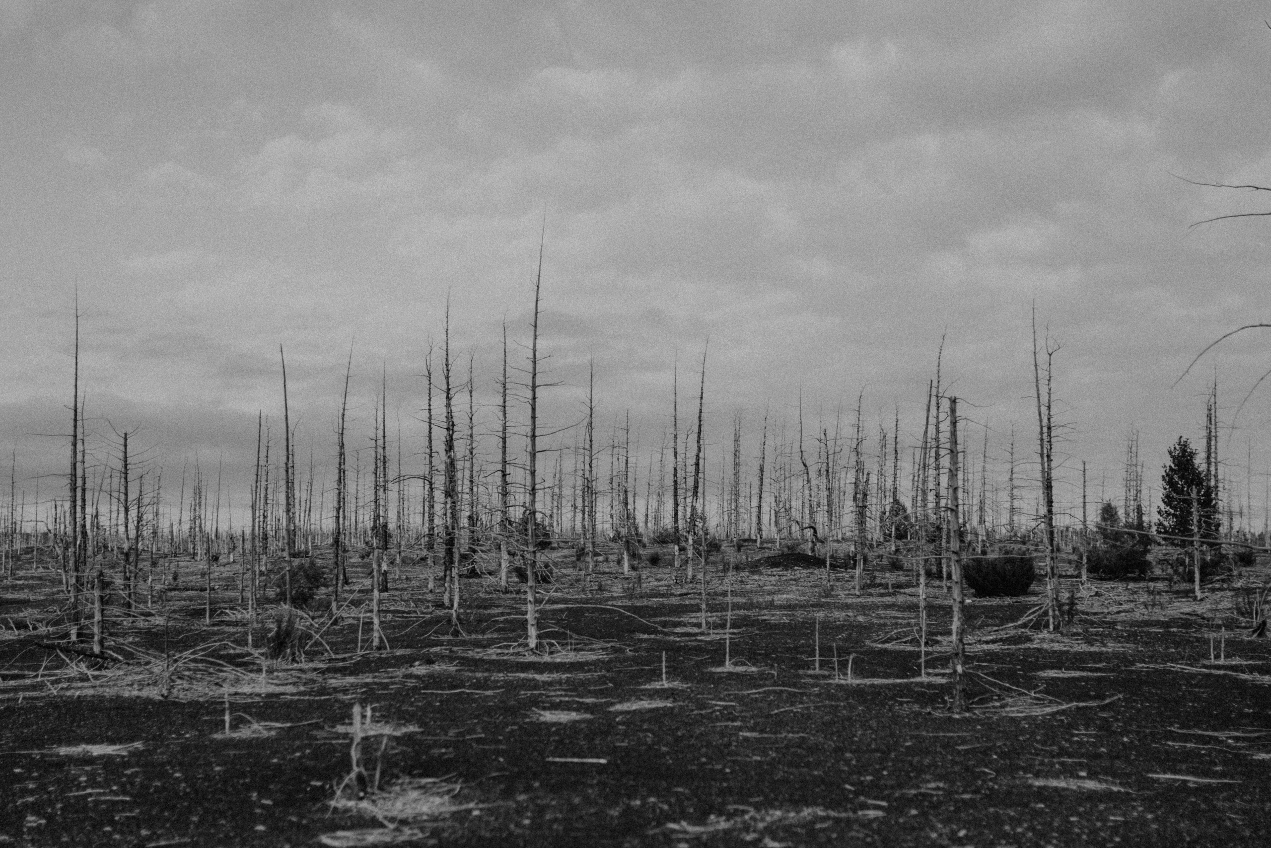 Igor & Anastasiya. Свадебное фото и видео на Камчатке. Туристические маршруты