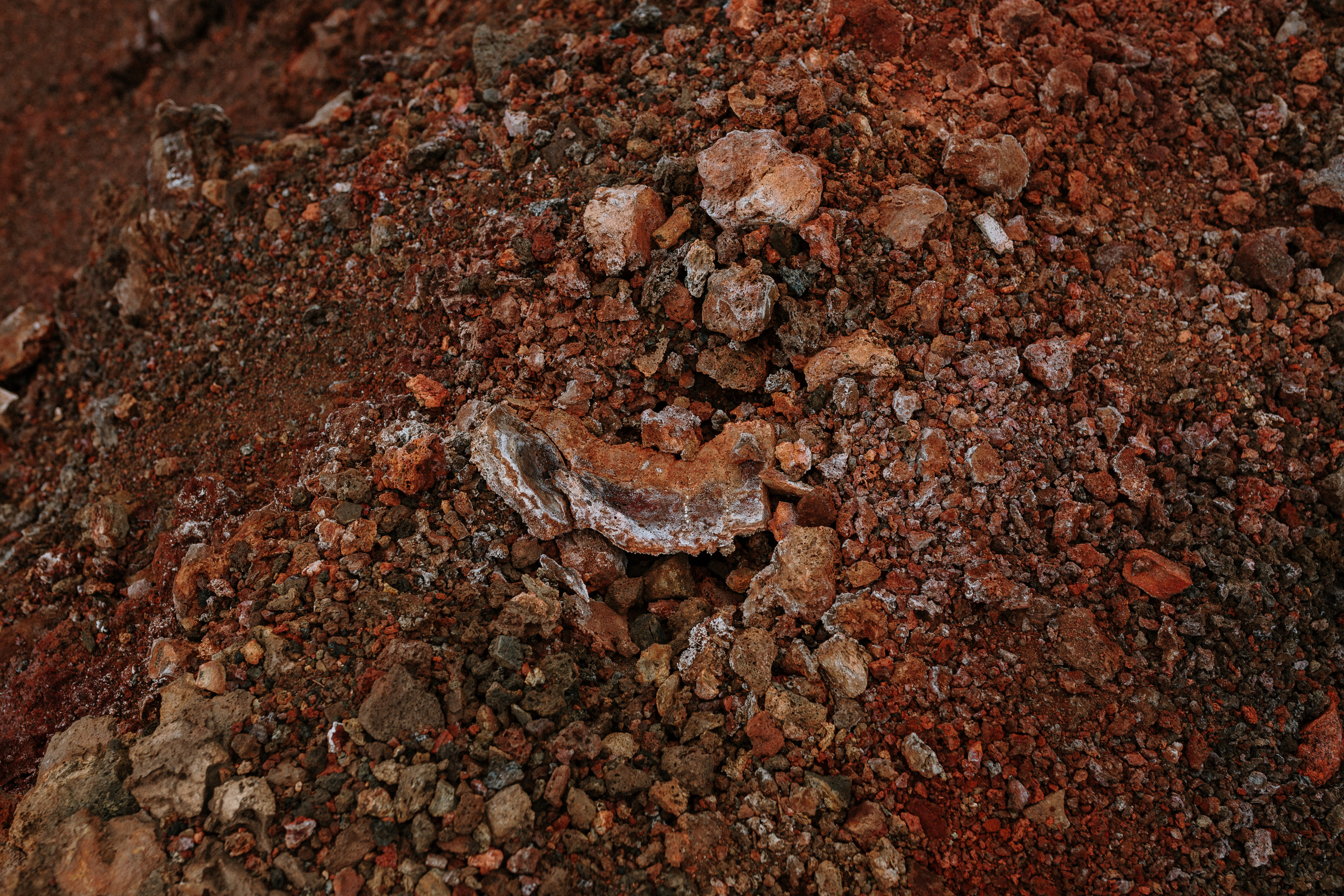 Igor & Anastasiya. Свадебное фото и видео на Камчатке. Туристические маршруты