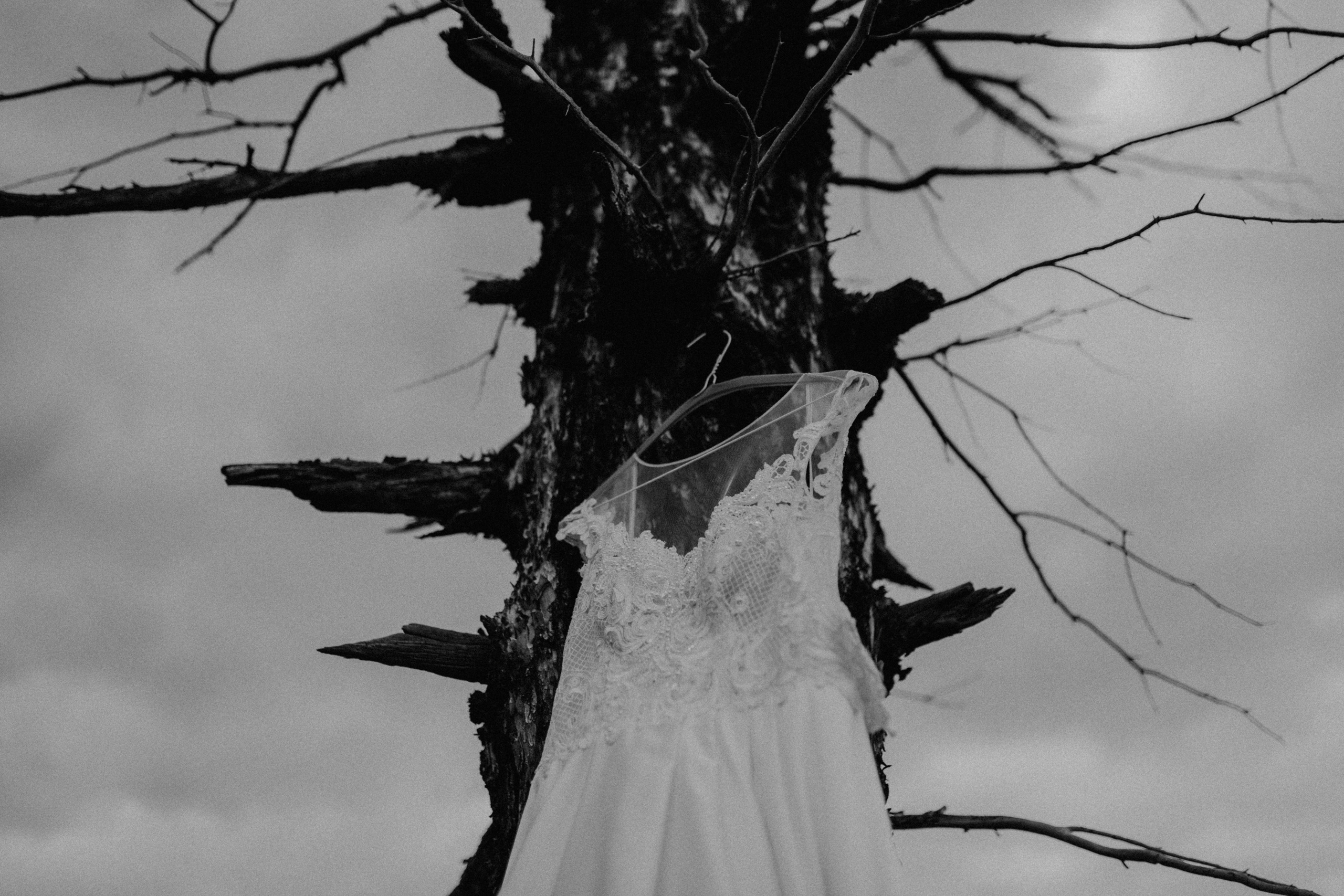 Igor & Anastasiya. Свадебное фото и видео на Камчатке. Туристические маршруты