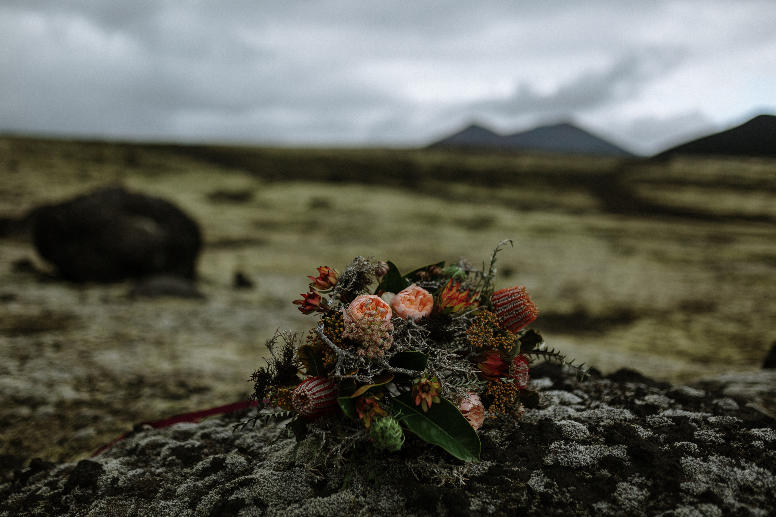 Igor & Anastasiya. Свадебное фото и видео на Камчатке. Туристические маршруты