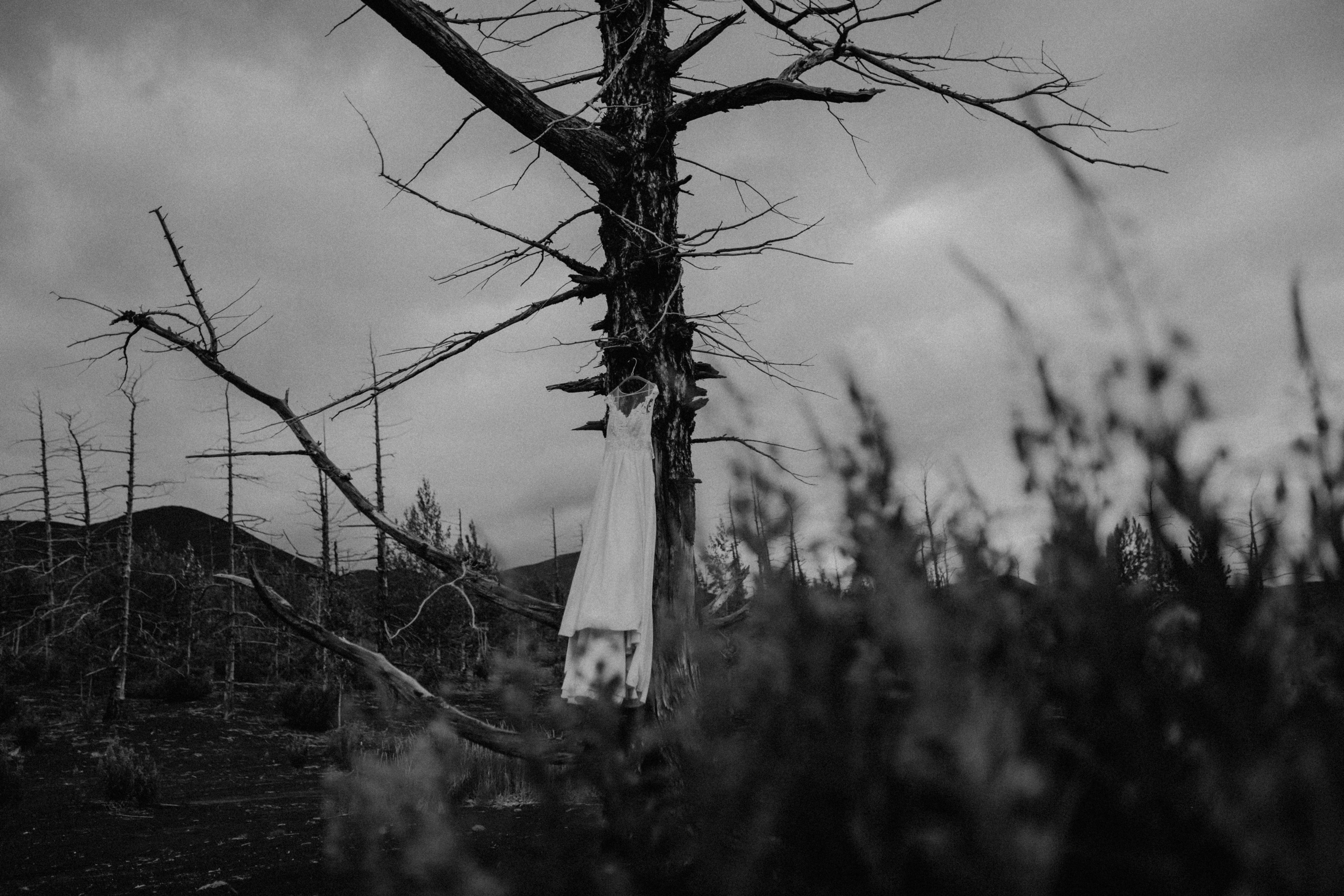 Igor & Anastasiya. Свадебное фото и видео на Камчатке. Туристические маршруты