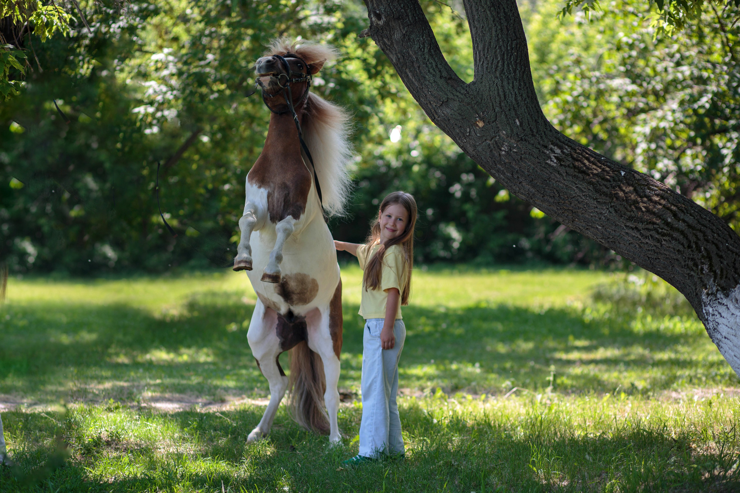 Пони и дети. Конный фотограф в Красноярске — Любовь Похабова