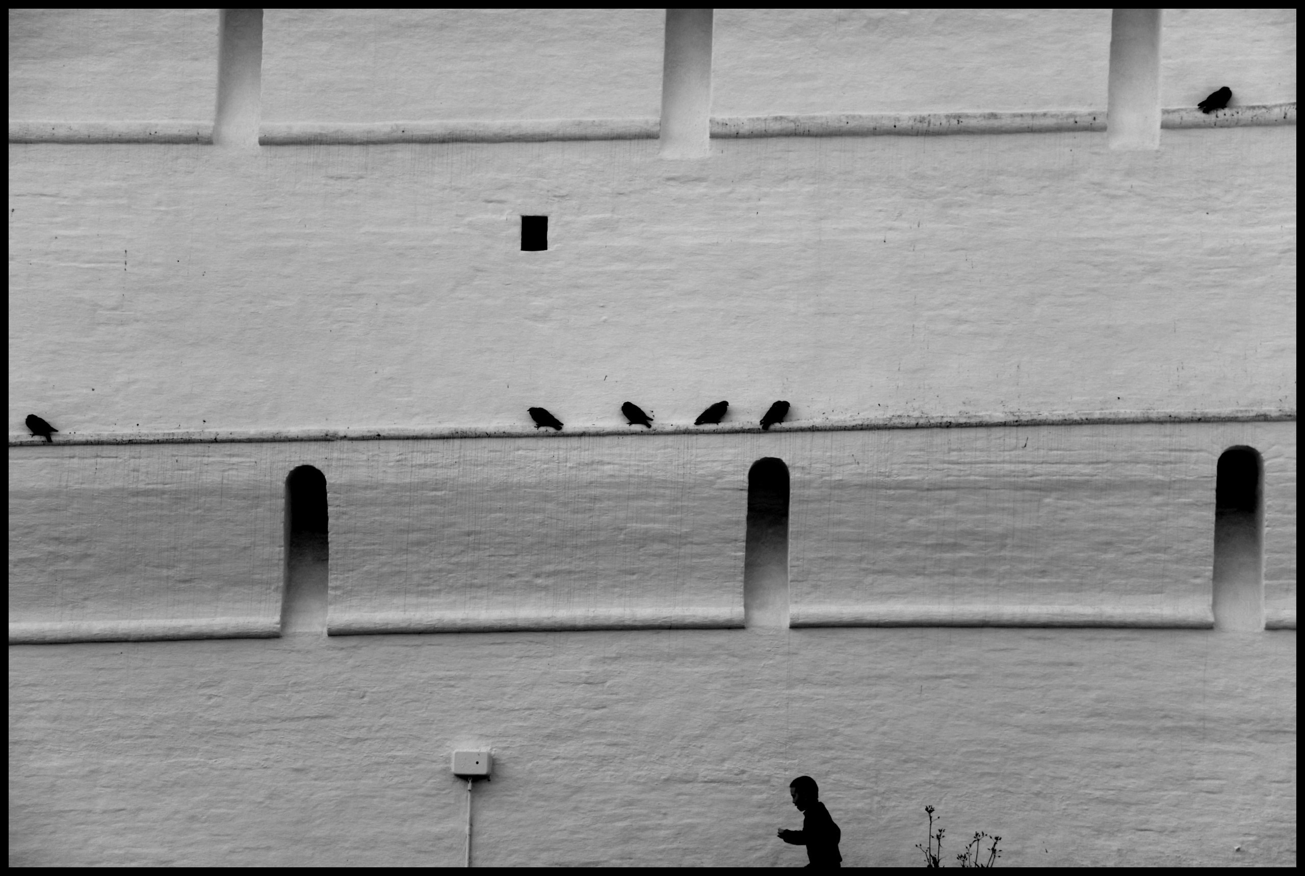 Работы. Свадебный фотограф в Москве Сафонова Анна