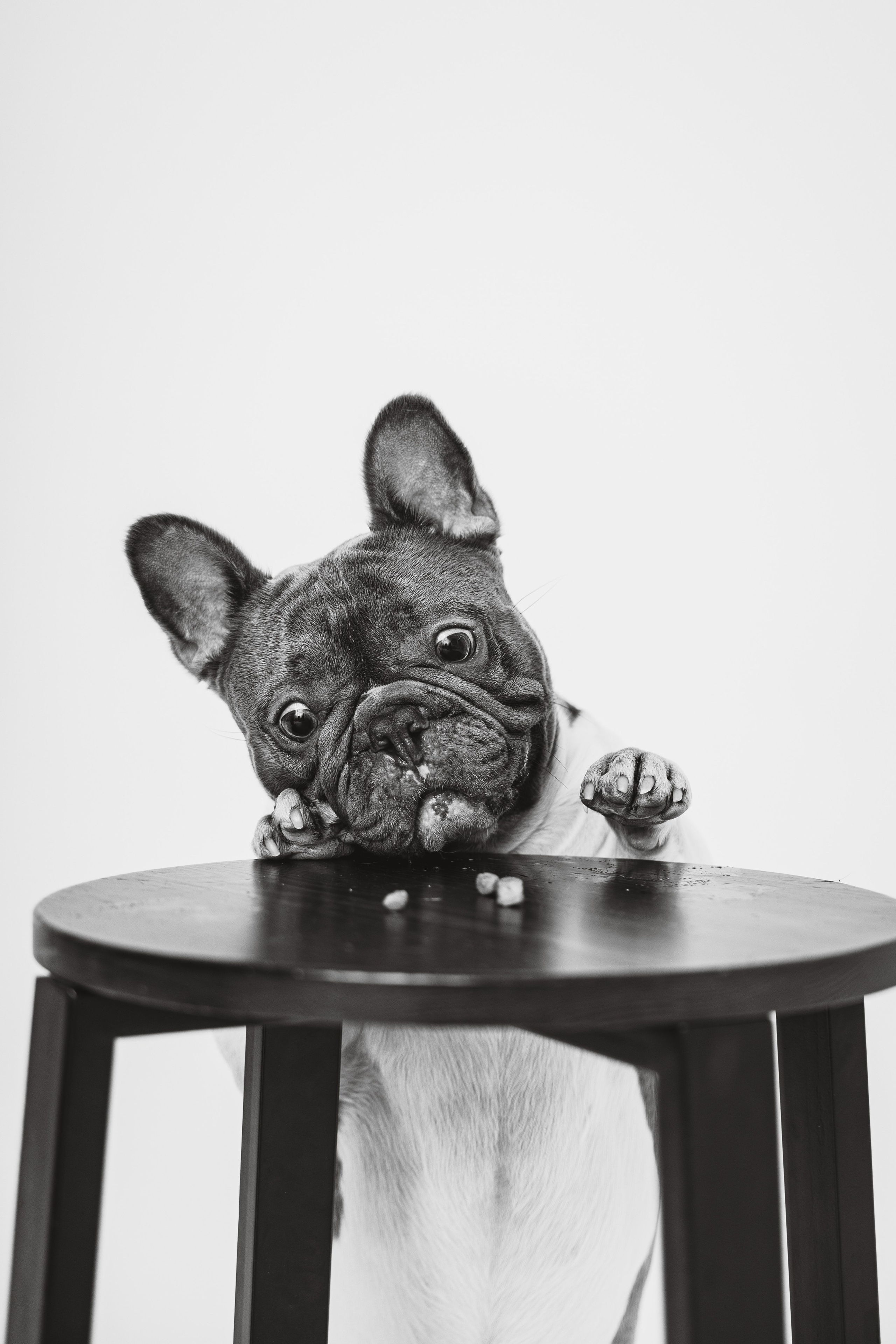 Екатерина, Виталий и Ричи