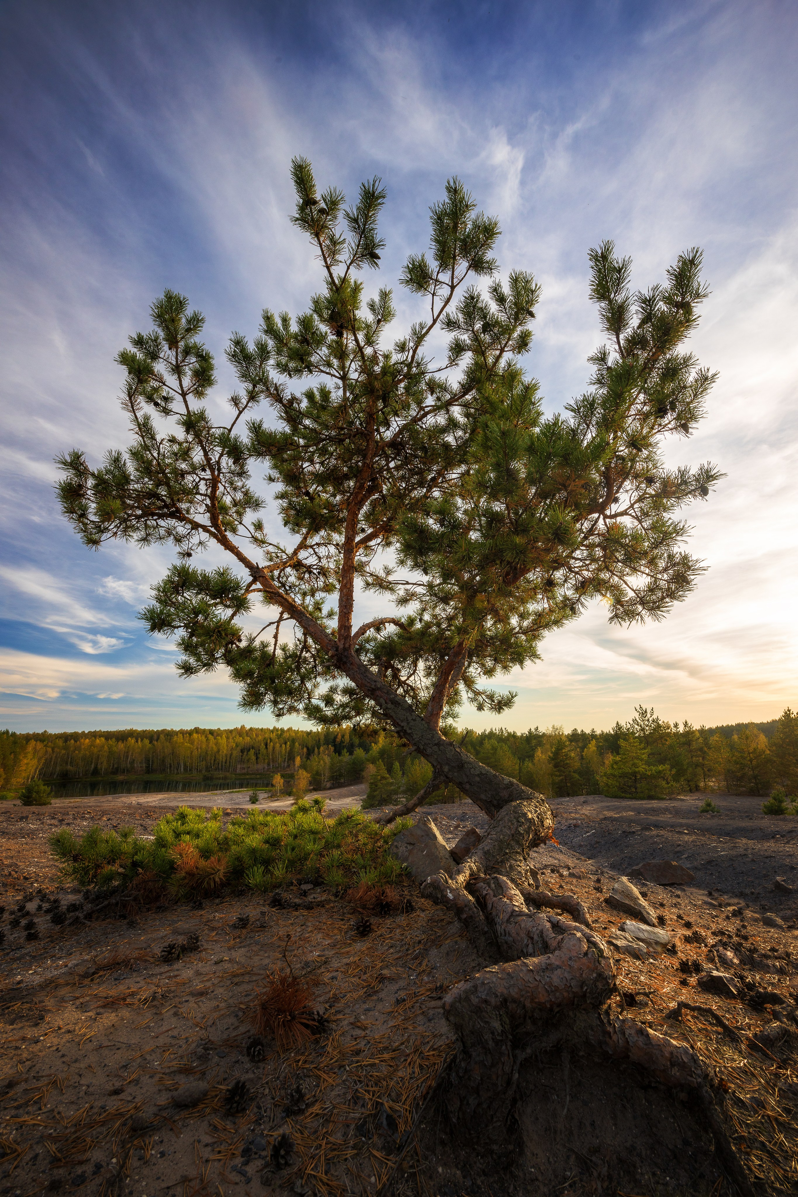 Суворовский район. Фотохудожник Артём Парамонов