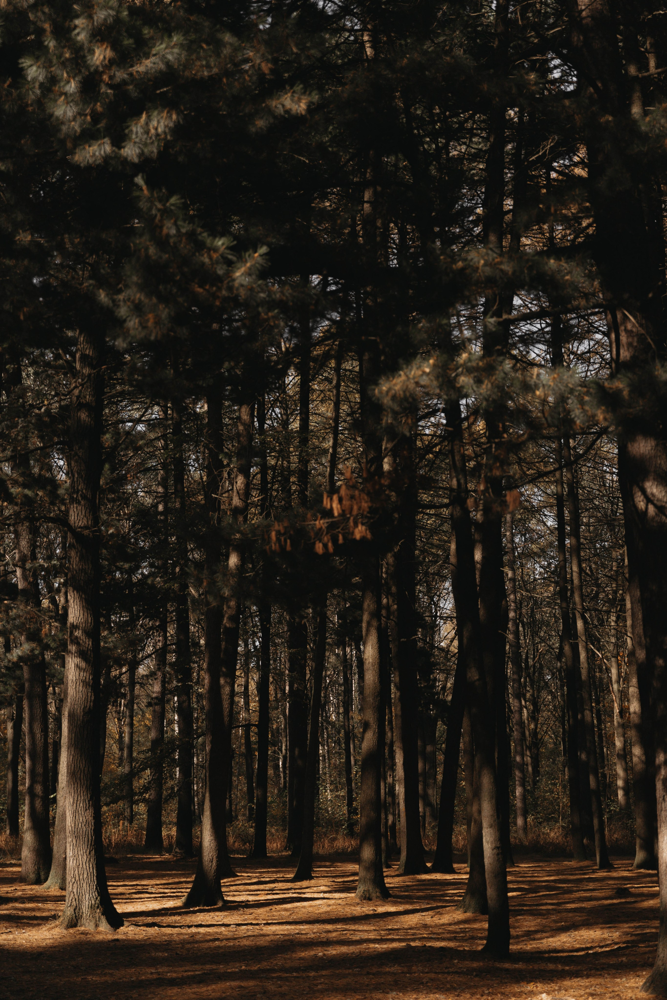 Ю & В. Женский и свадебный фотограф Москва Елизавета Перова