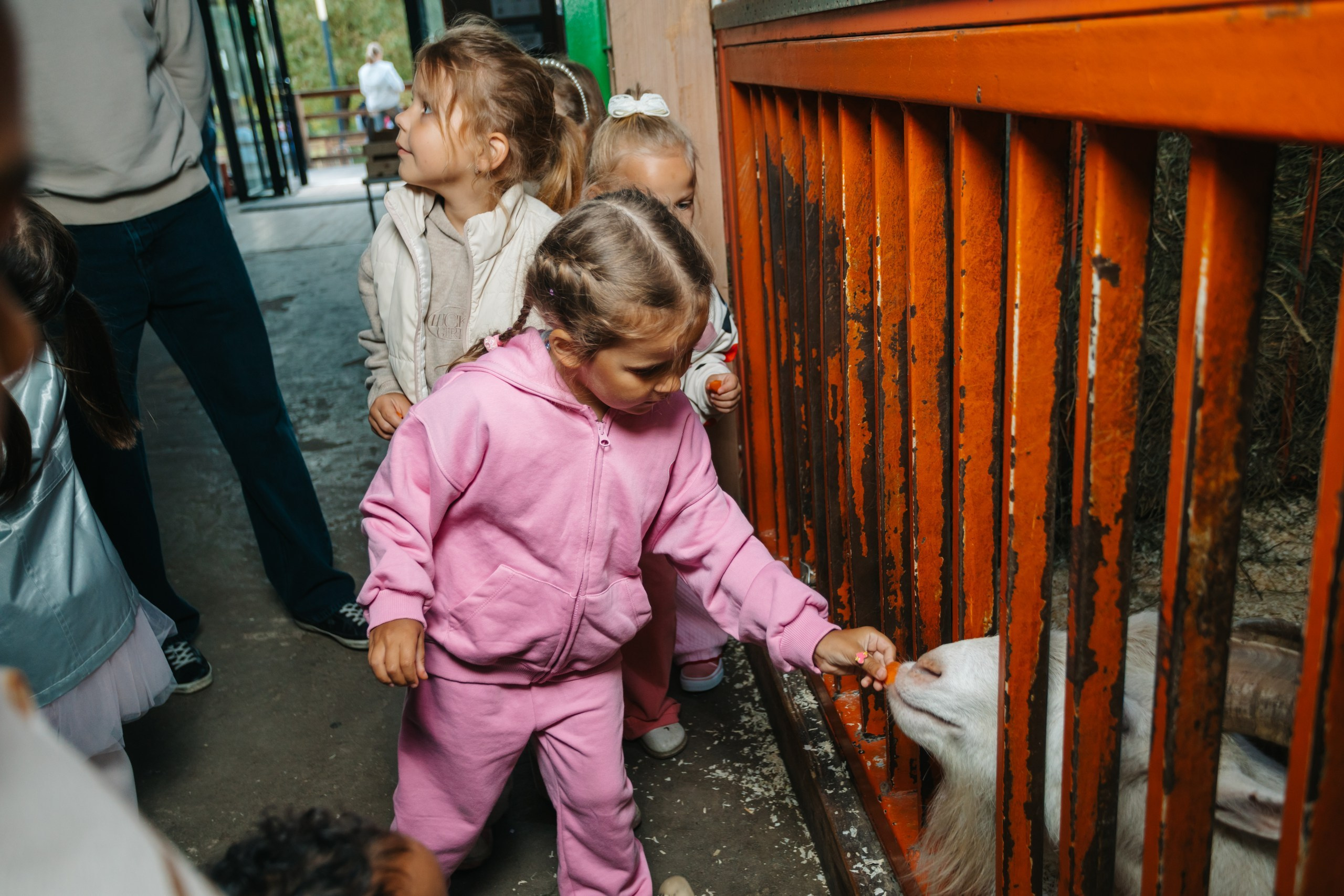 День рождения Марка. Андрей Партнов — фотогрраф, Москва