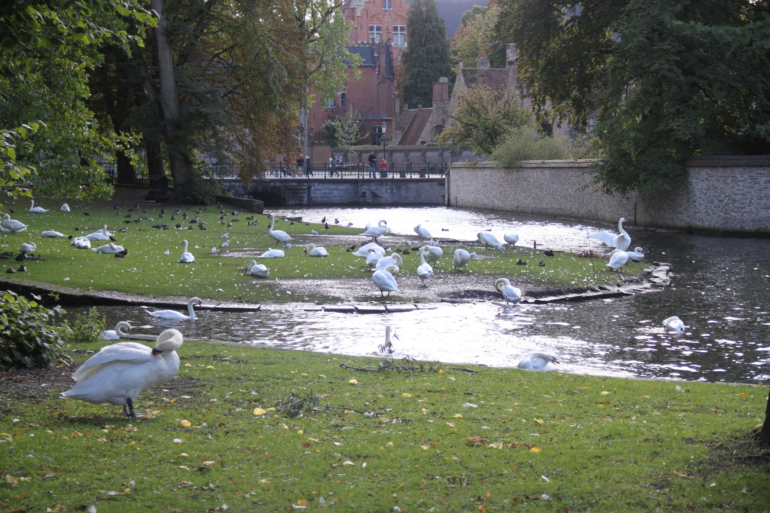 Bruges, Belgium. Andrey Filippov Photographer