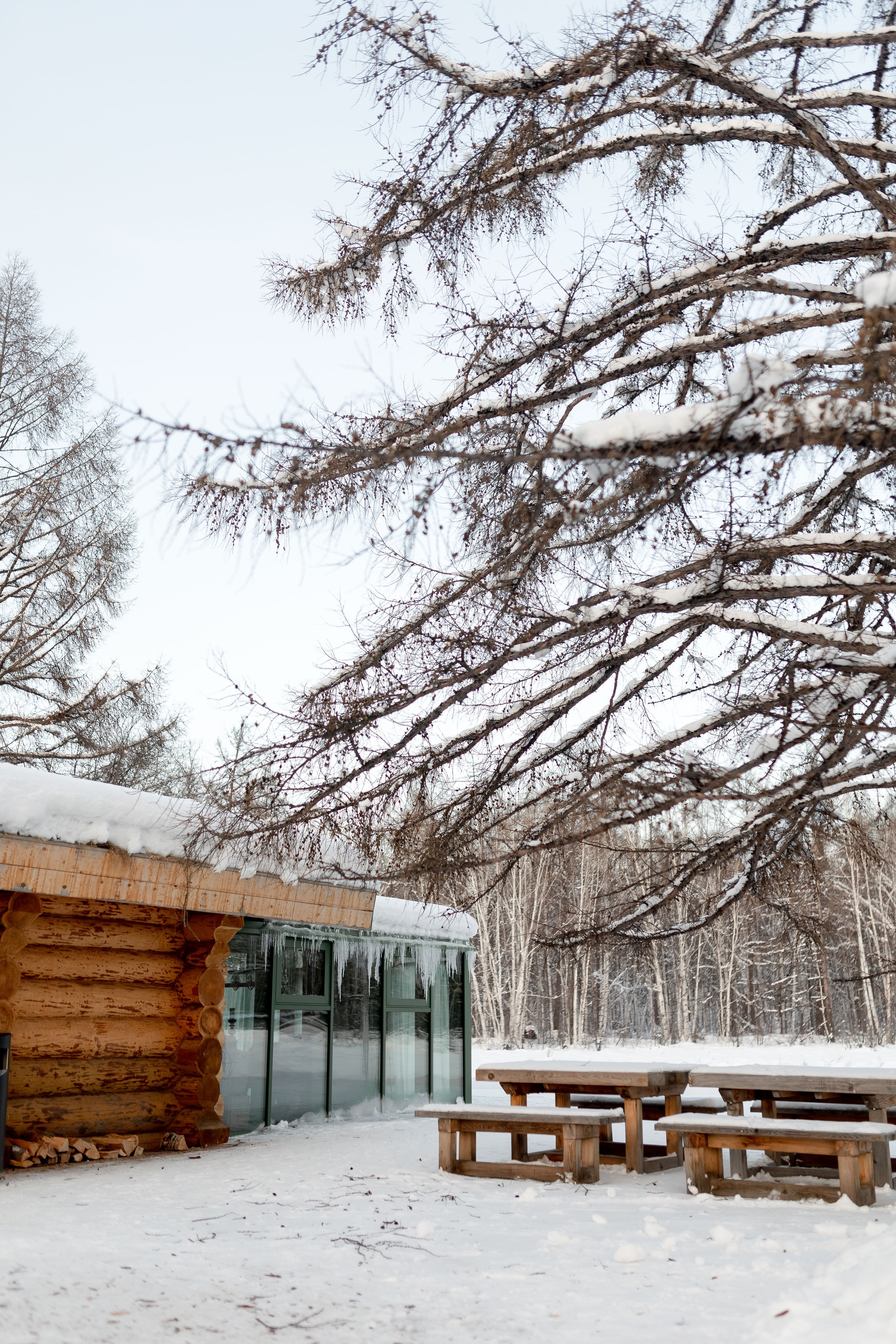 Аврора, Камчатка. Главная