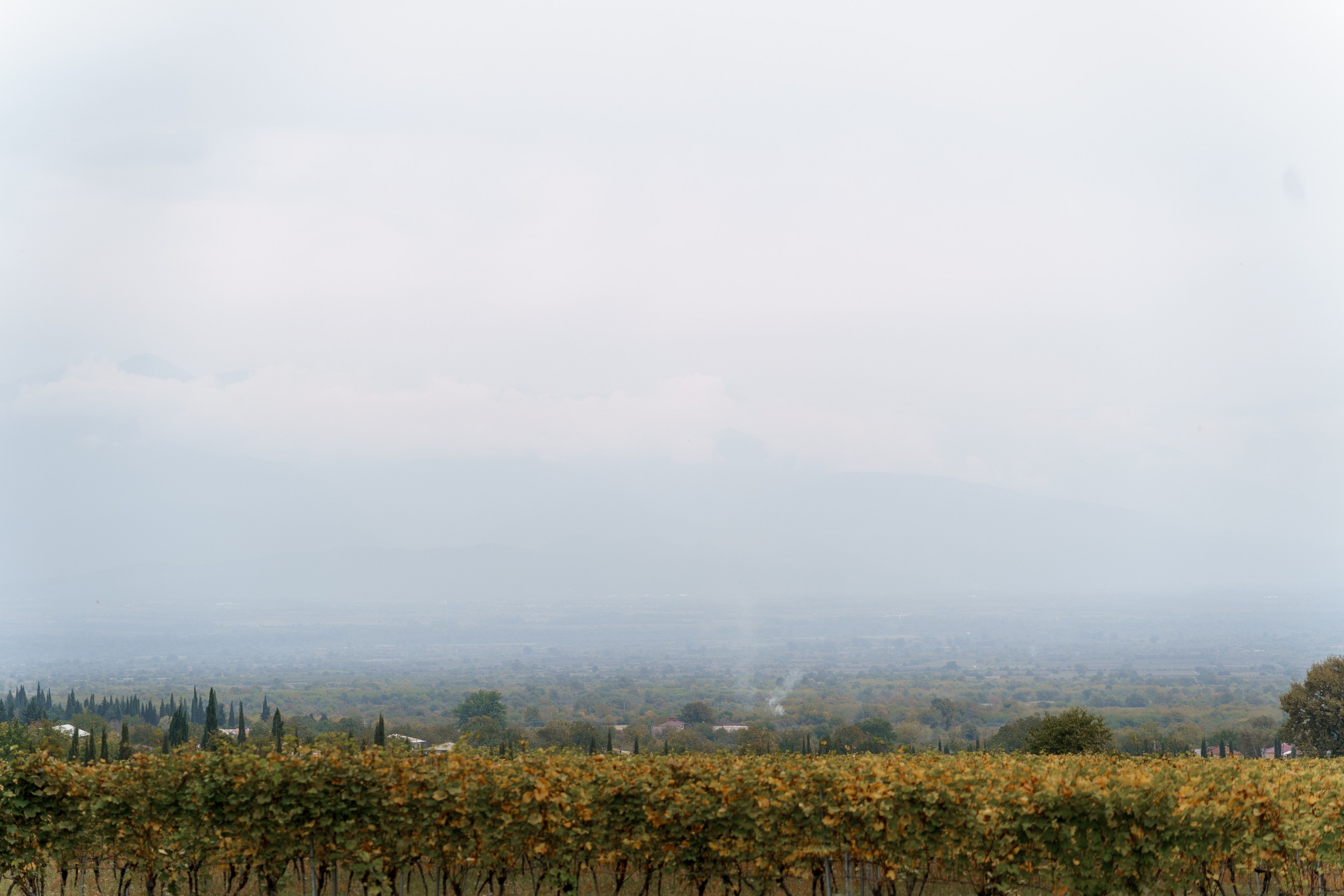 Кахетия: Алекс и Настя. Свадебный и индивидуальный фотограф Татьяна Гуляева