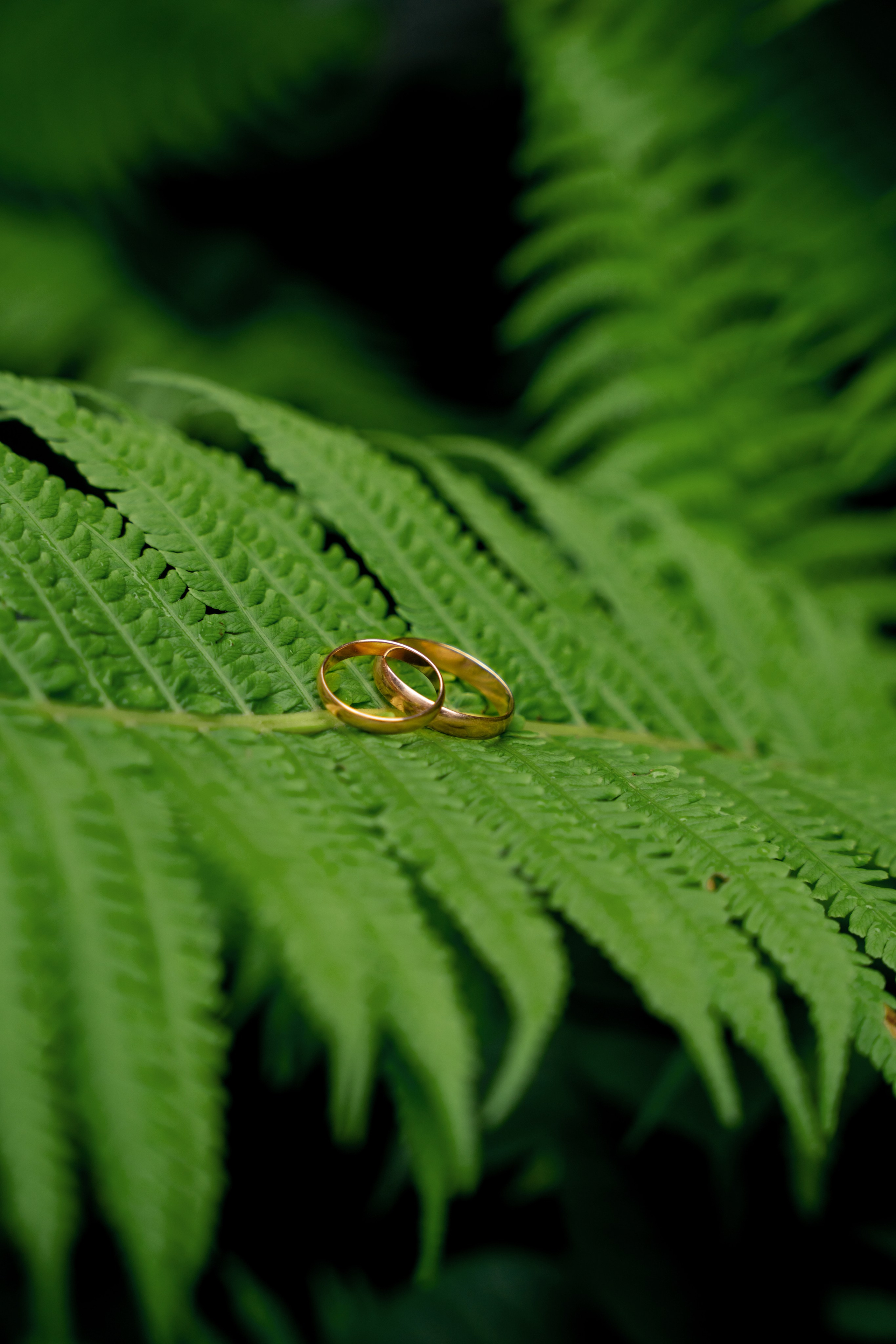 АНДРЕЙ И АЛИСИЯ. Фотограф на любое мероприятие