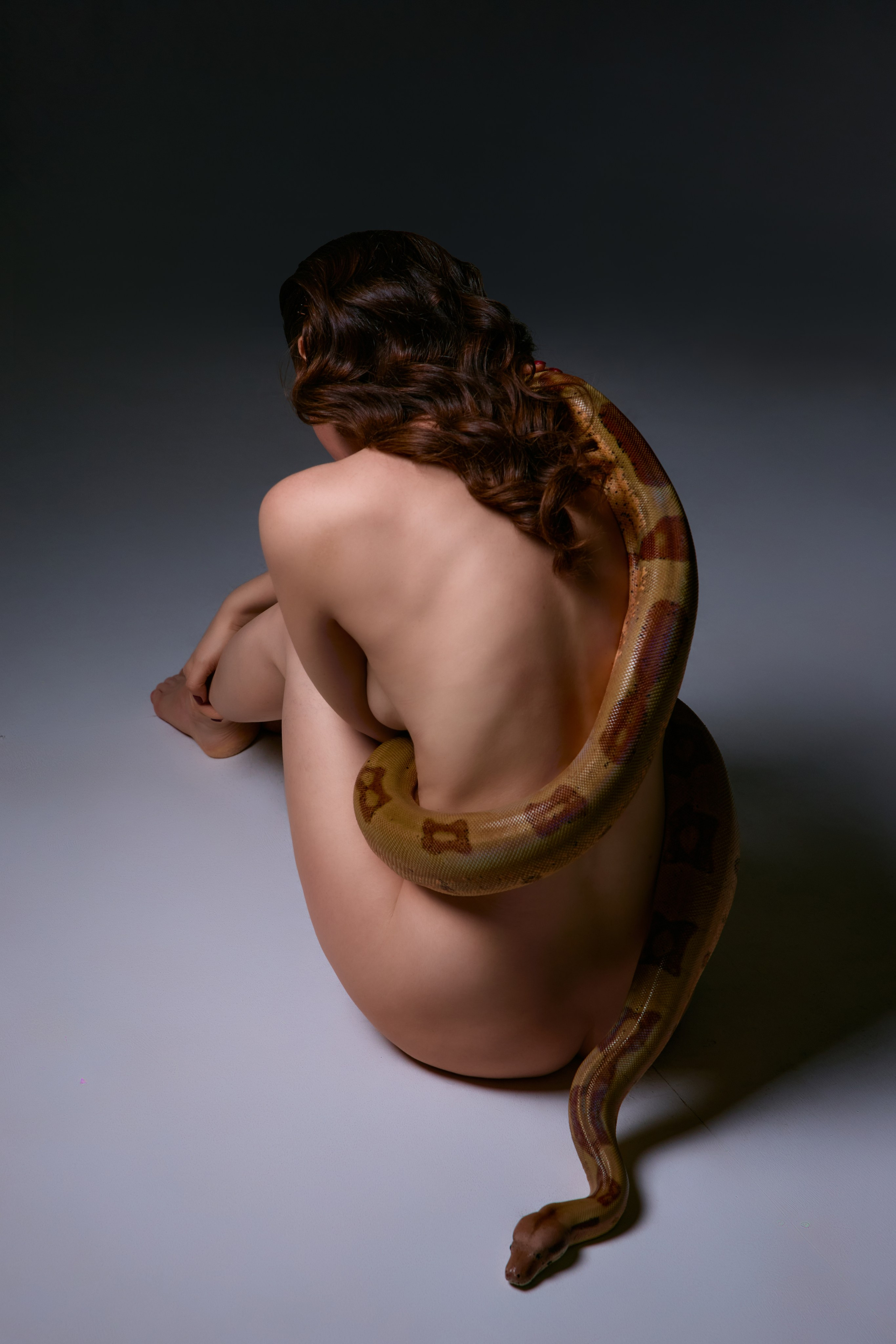 На фотографии изображена художественная композиция, объединяющая естественную красоту человеческого тела и дикую эстетику природы. Обнажённая женская фигура, освещённая мягким рассеянным светом, гармонично переплетается с извивающейся змеёй, чья гладкая чешуя контрастирует с нежными линиями кожи. Цветовая гамма выдержана в приглушённых тонах — золотистых, терракотовых и глубоких зелёных оттенках, что подчёркивает вневременной и символический характер изображения. Поза модели и движение змеи создают динамику, отражая тему единства противоположностей: хрупкости и силы, свободы и опасности. Фотография передаёт атмосферу загадочности и первобытной гармонии, акцентируя внимание на текстурах и плавных формах.