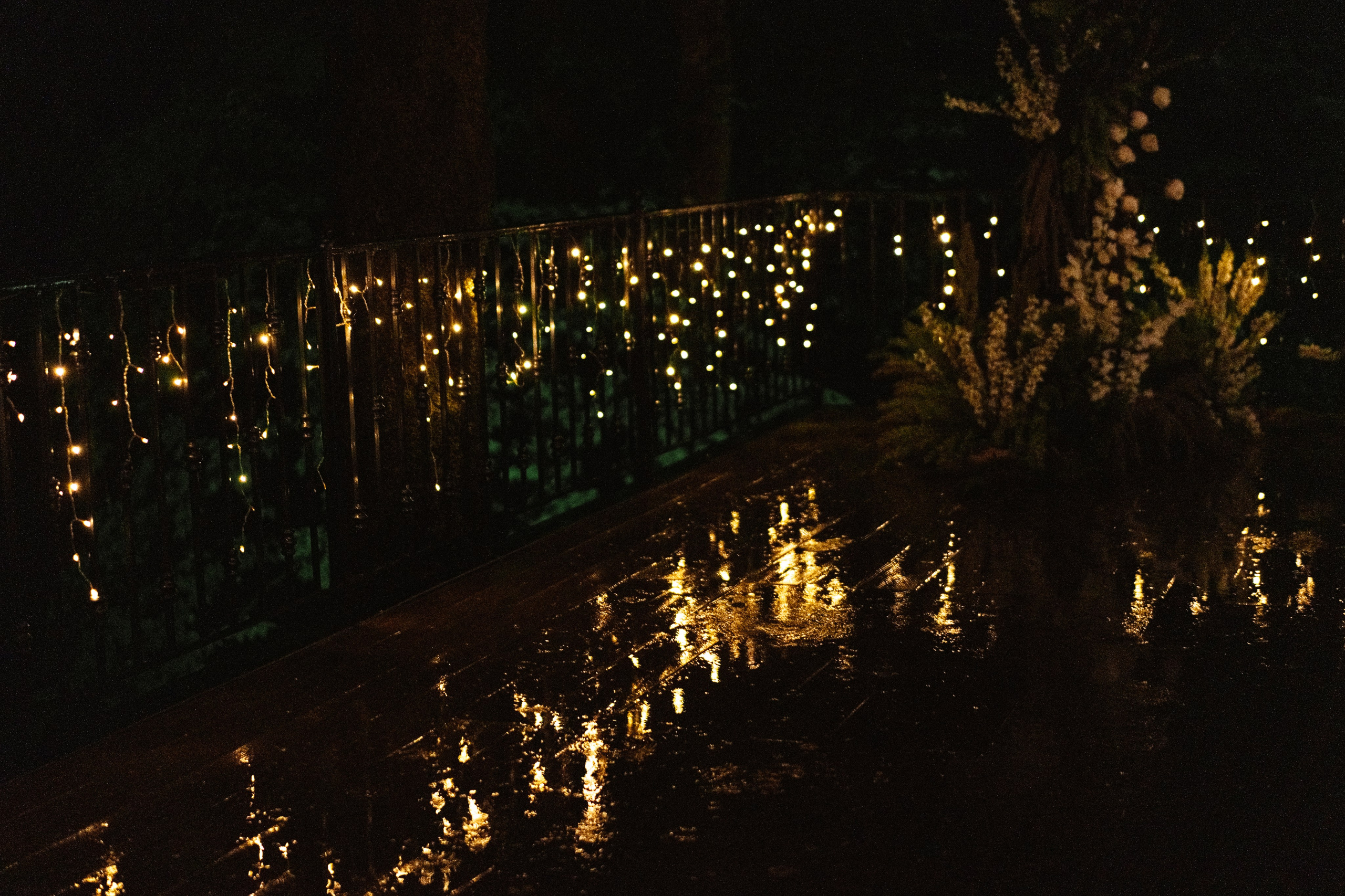 Прячься! Дождь идёт. Сочи. 2024. Никита Погосов