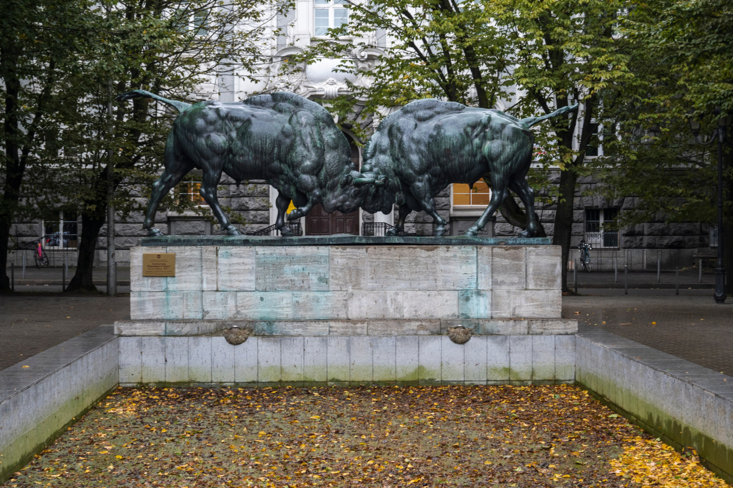 Калининград. Октябрь 2023. Фотограф Роман Адлер