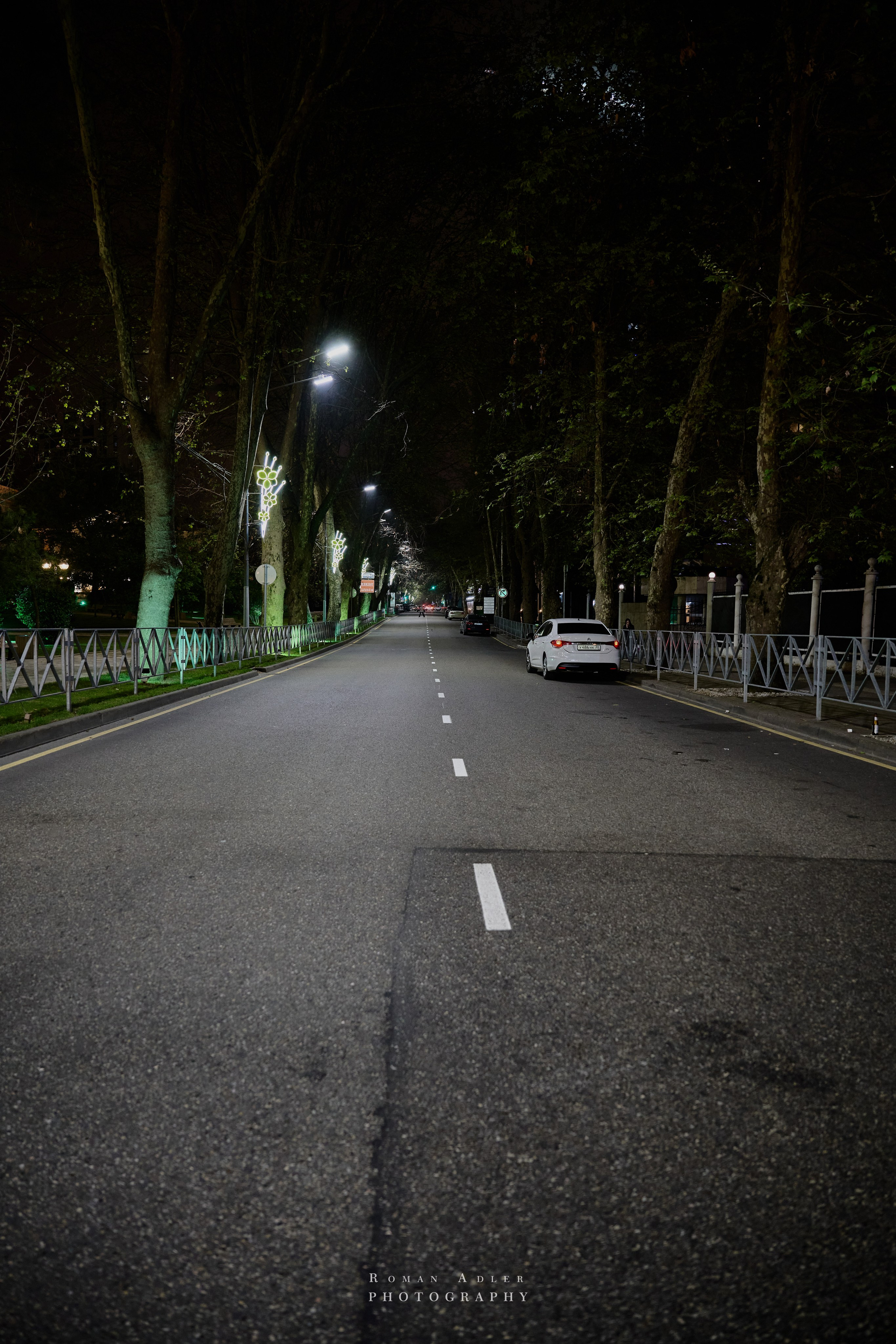 Сочи. Апрель 2025. Фотограф Роман Адлер