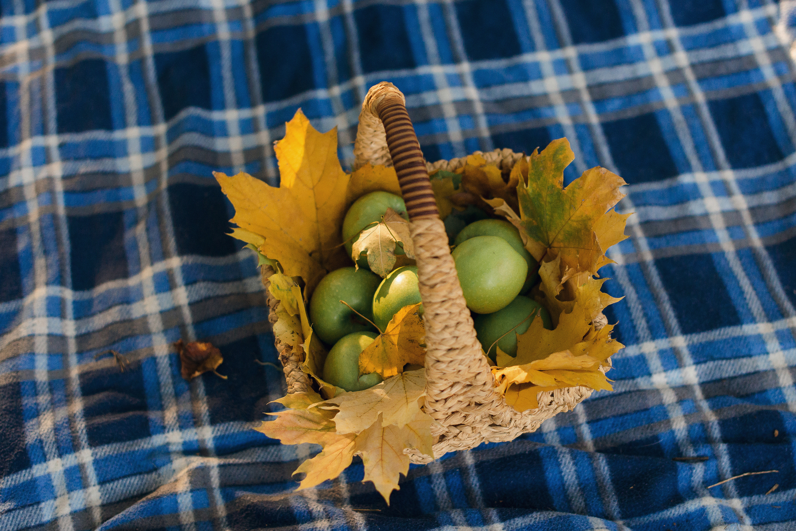 Вова, Римма и …. Фотограф в Краснодаре Альбрехт Амина