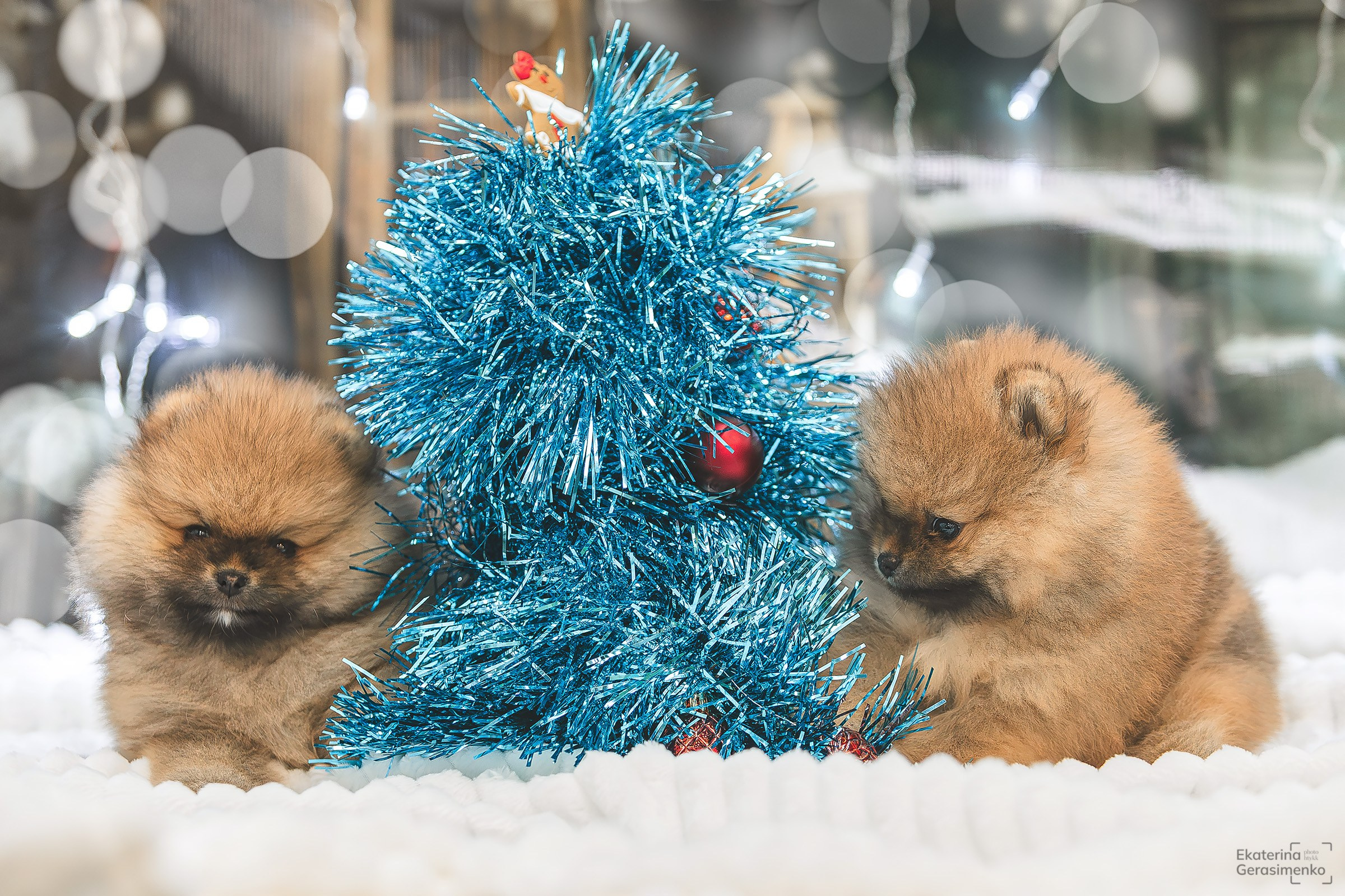 Фотодень. Htykk_photo