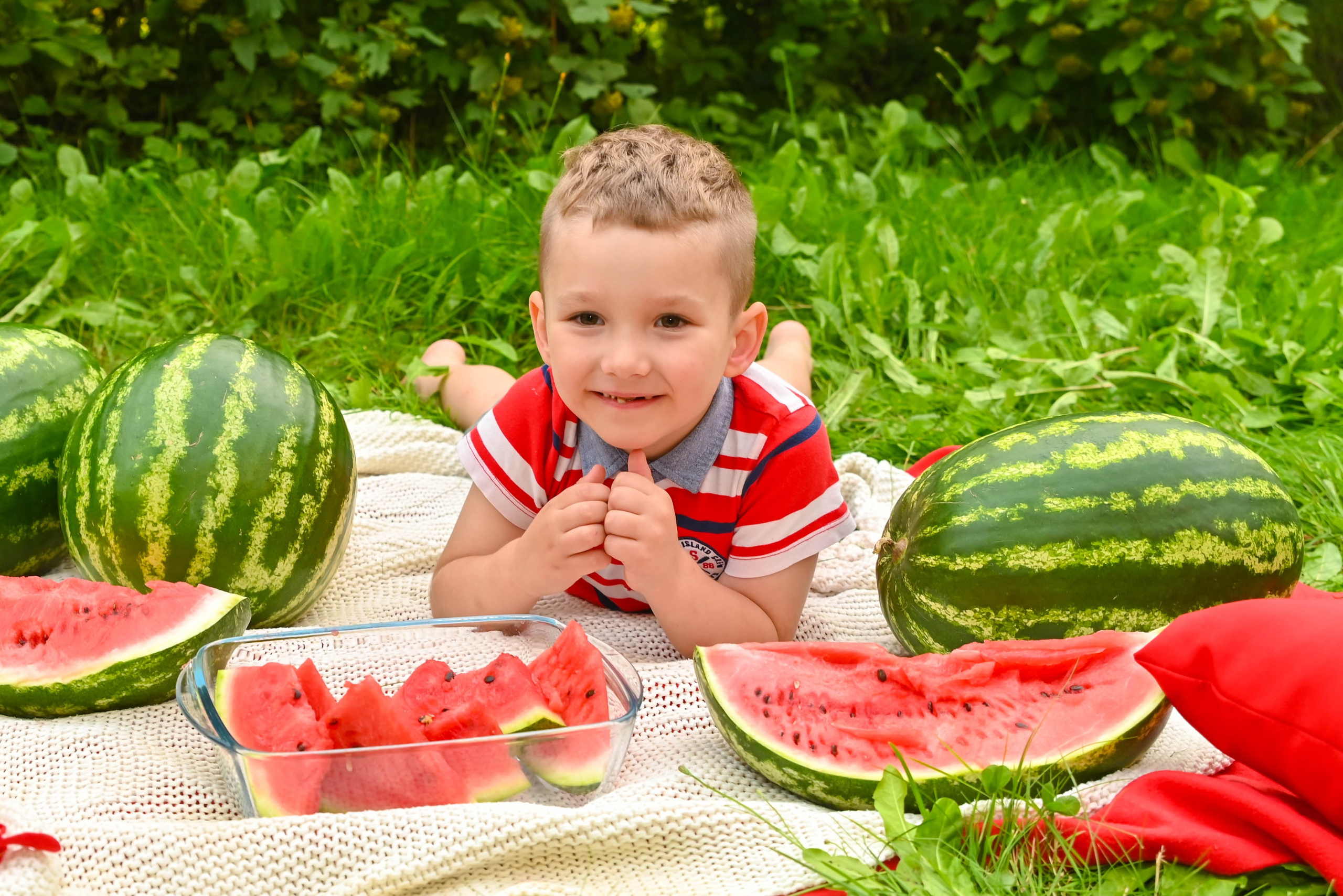 Арбузная вечеринка. Выпускные альбомы для детских садов Санкт-Петербург