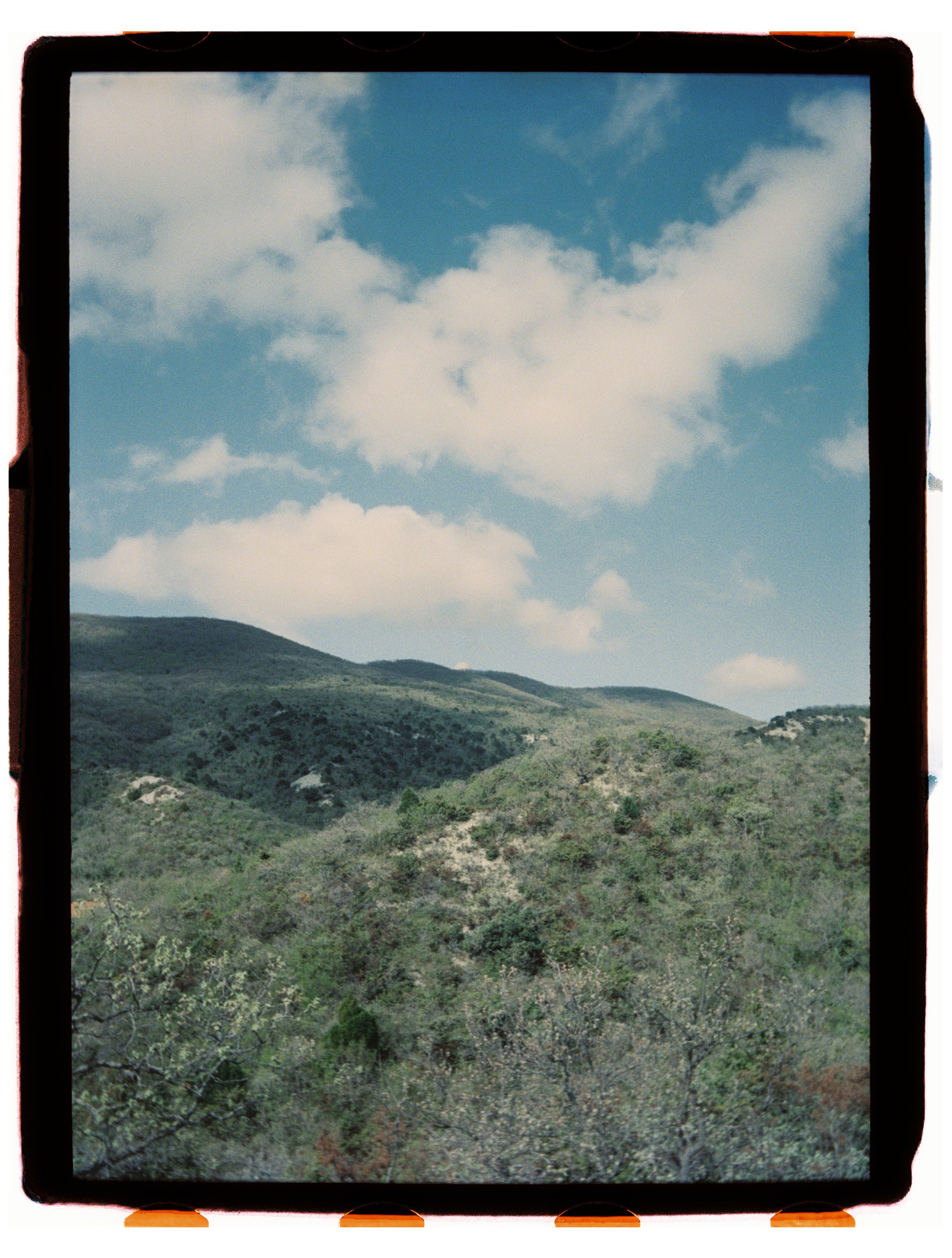 Юг. Профессиональный Фотограф во Владимире, в Москве и в Суздале — Полина Романычева