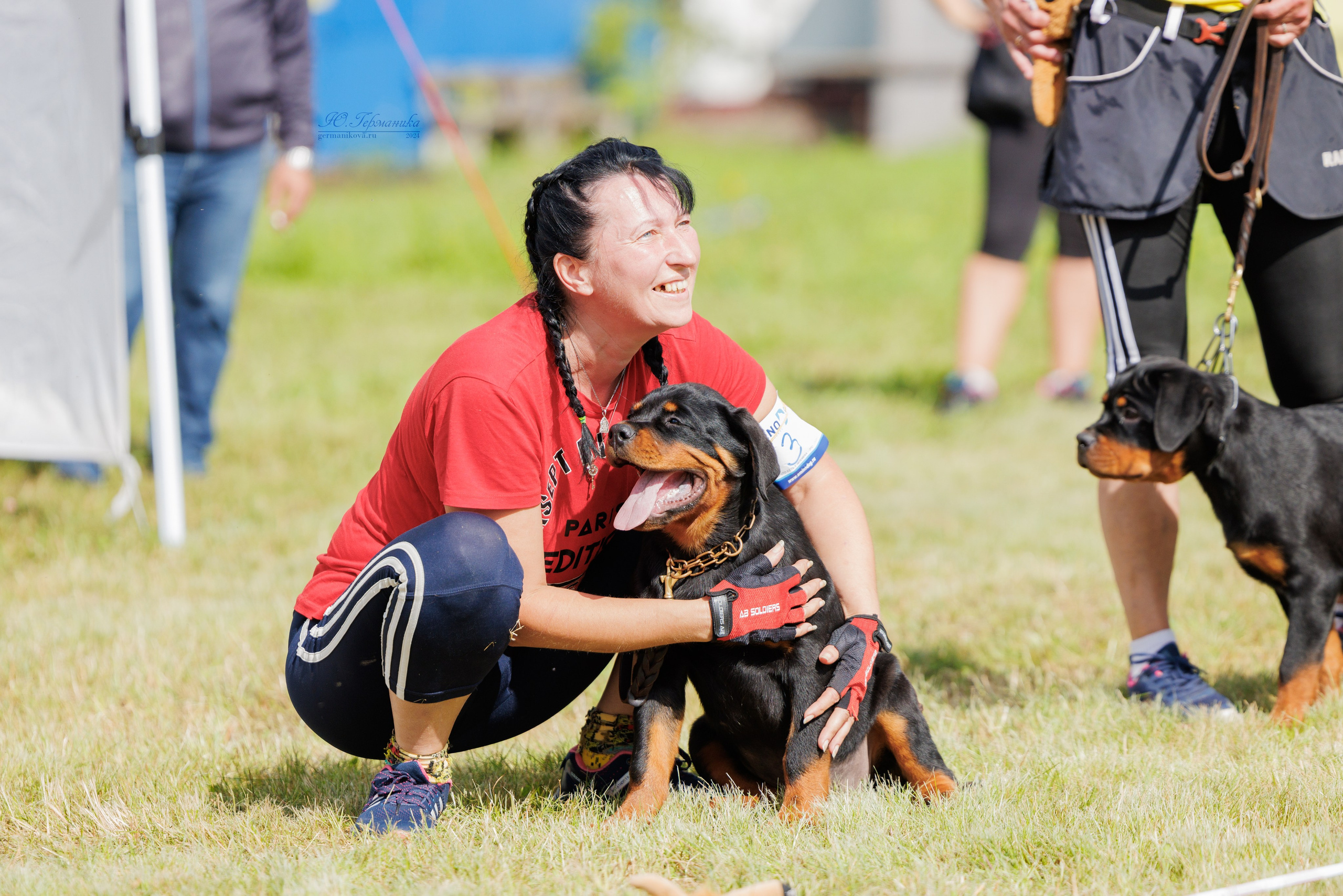 Рязань-Ховрино 10-11.08.2024 3хмоно ротвейлеров. Фотограф-анималист Юлия Германика