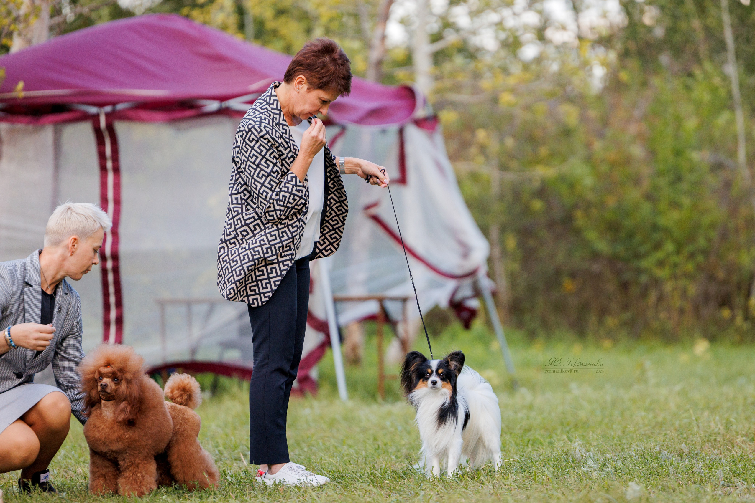 Астана 2хCACIB 17-18.08.2024. Фотограф-анималист Юлия Германика