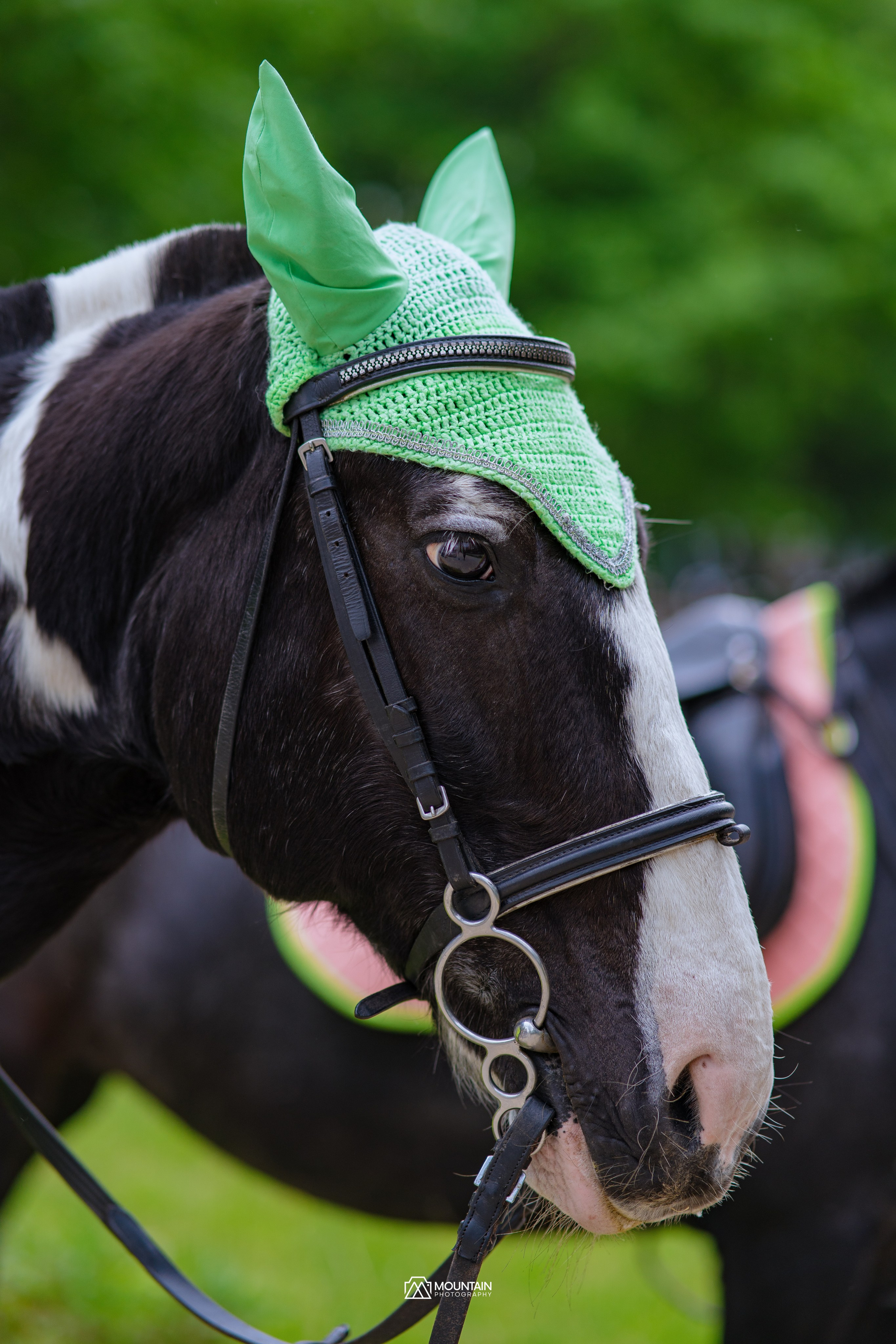 Summer in Moscow. Photographe basé à Moscou