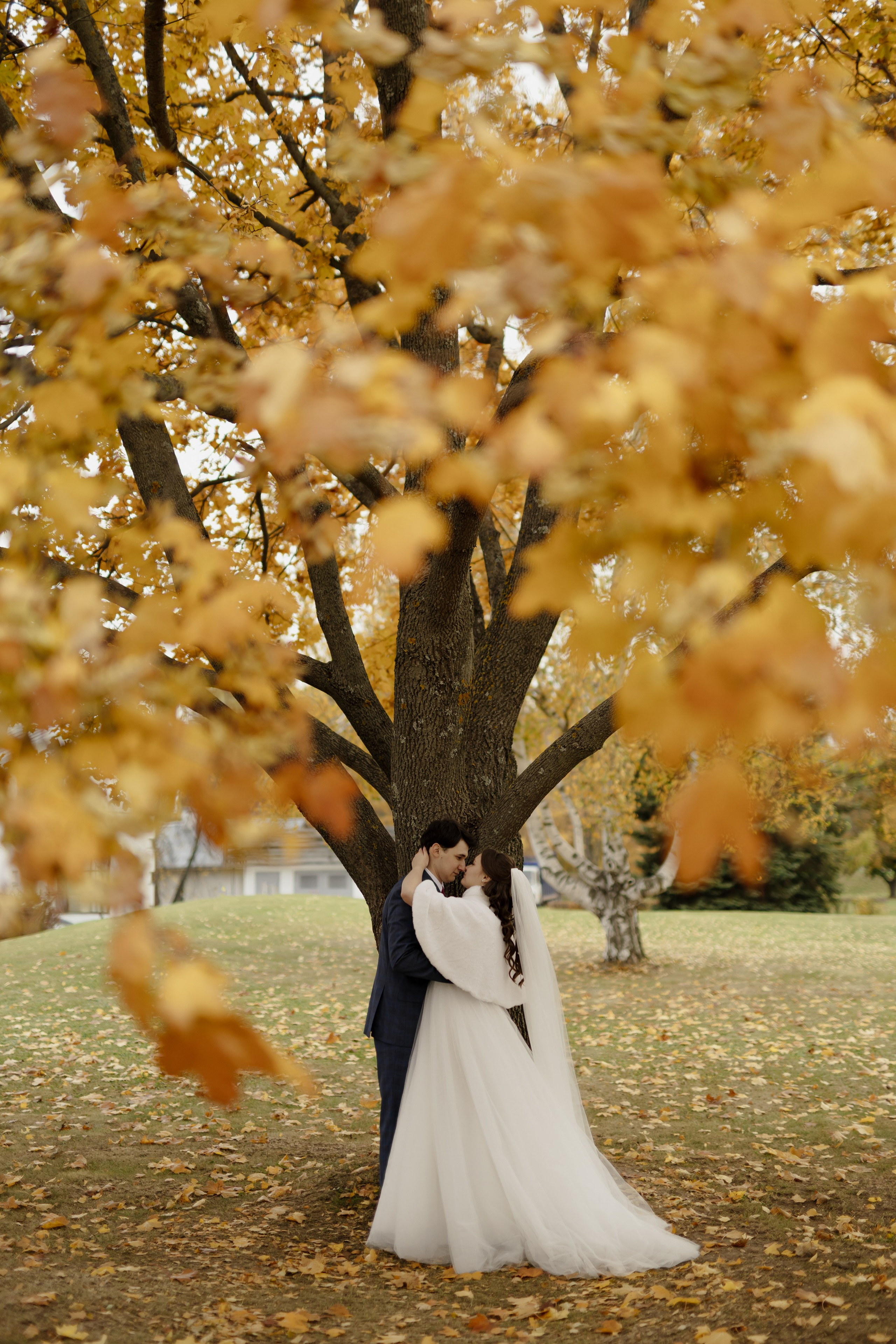Свадьба Даниила и Виктории. Фотограф Кольчугино/Владимир/Москва Елизавета Иода