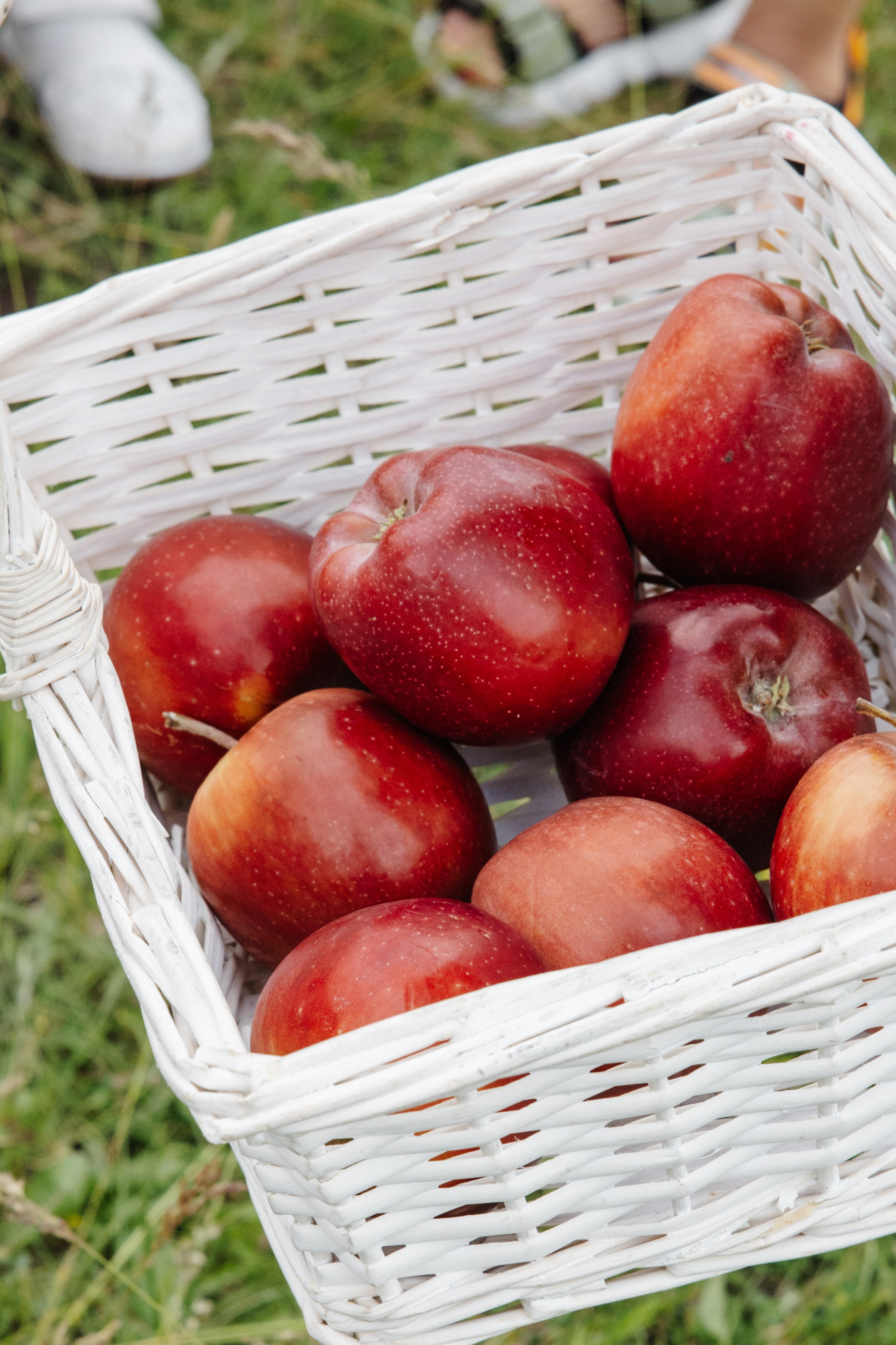 ГЕНДЕР ПАТИ. Фотограф в Красноярске