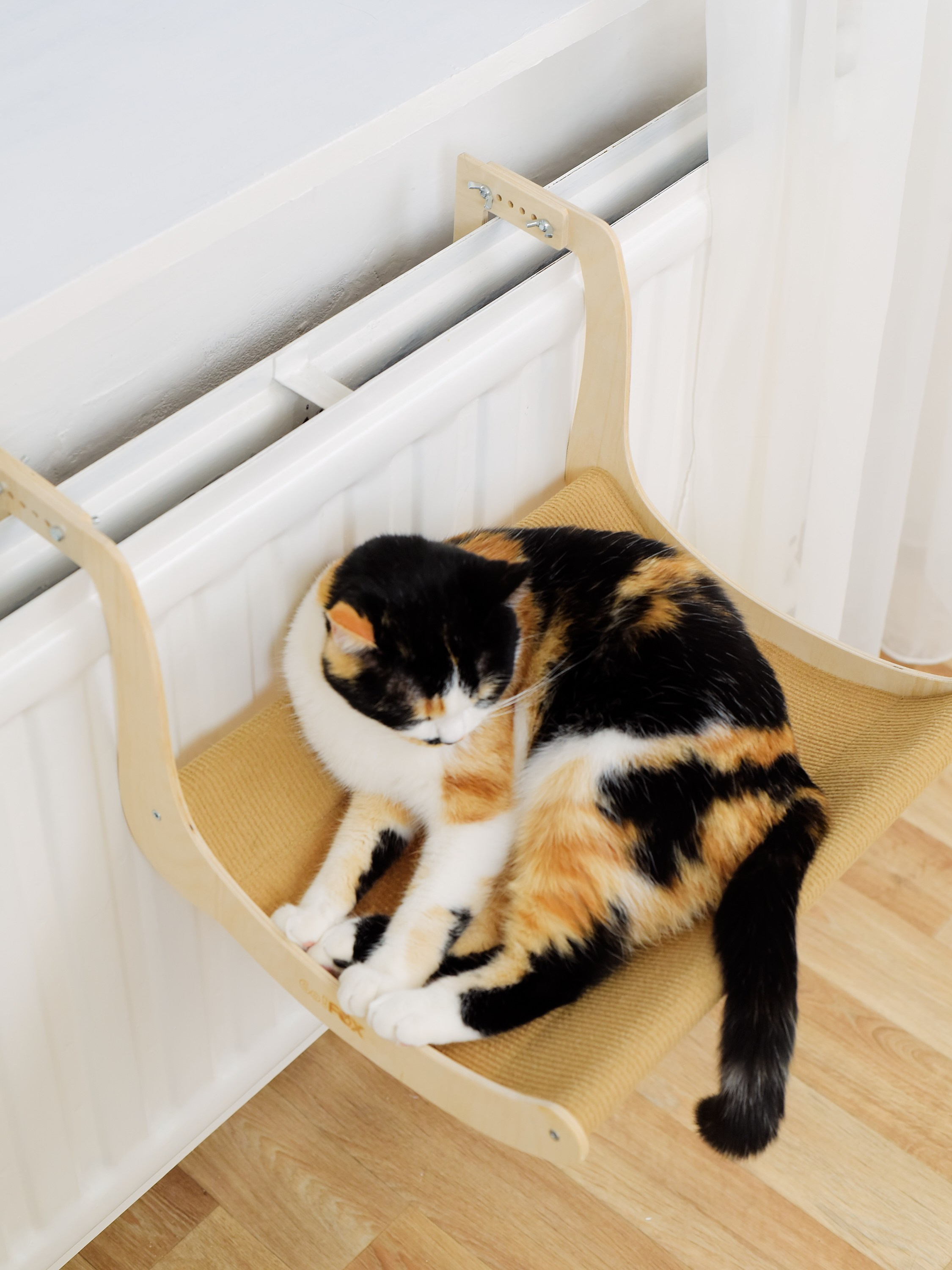 Товары для животных. Предметный фотограф, инфографика и видео в Санкт-Петербурге