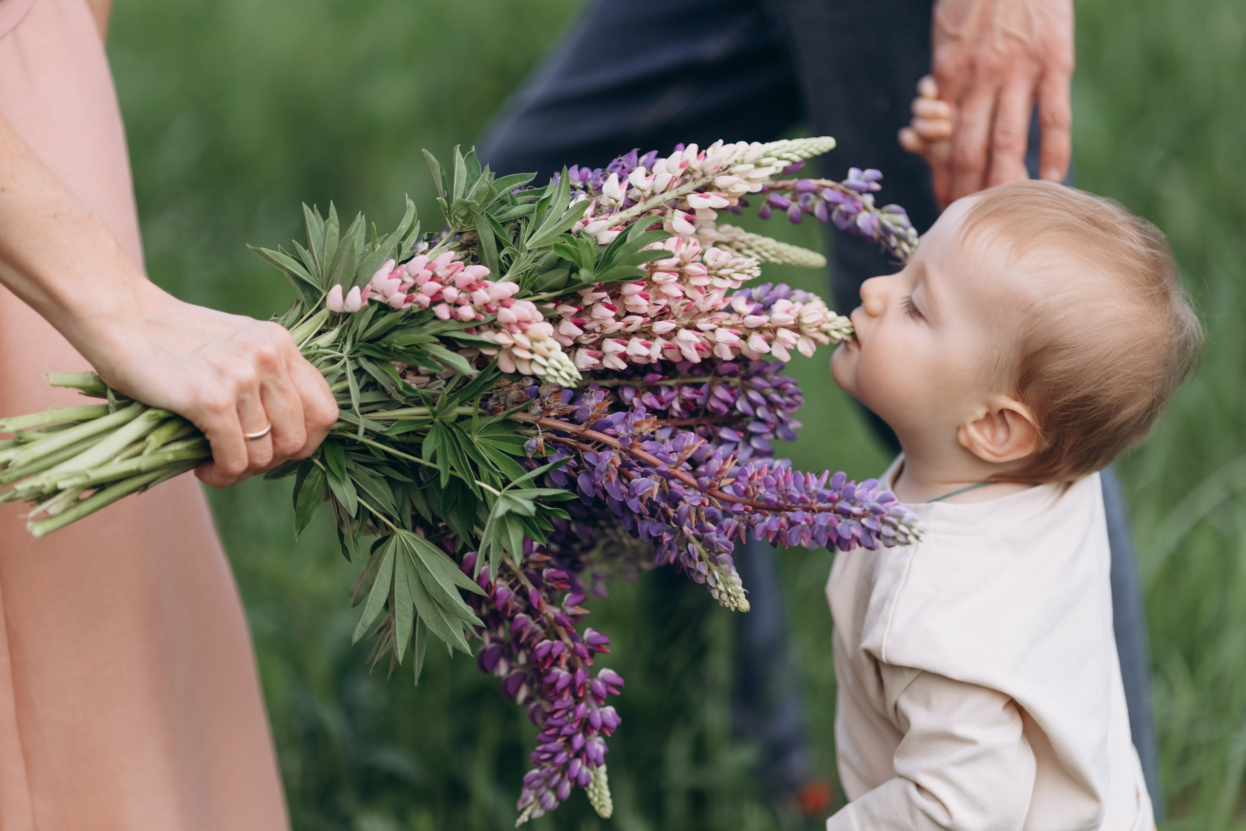 Ринат, Таня, Саша, Марат. Фотограф Людмила Оюн