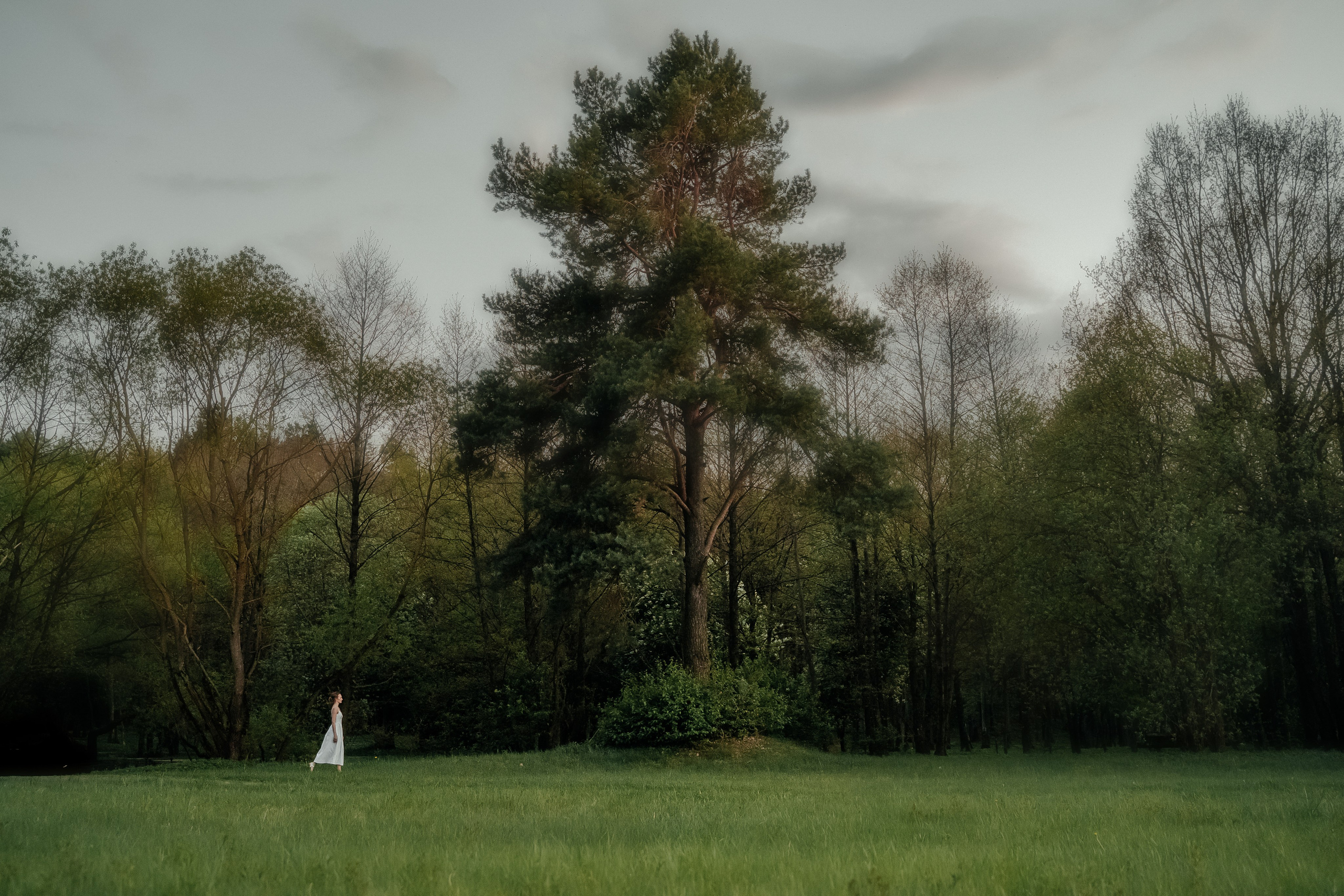 Виолетта и Артём (по мотивам «Красавица и Чудовище»). Свадебный Фотограф Минск || Фото и Видеосъёмка Минск || Другие города