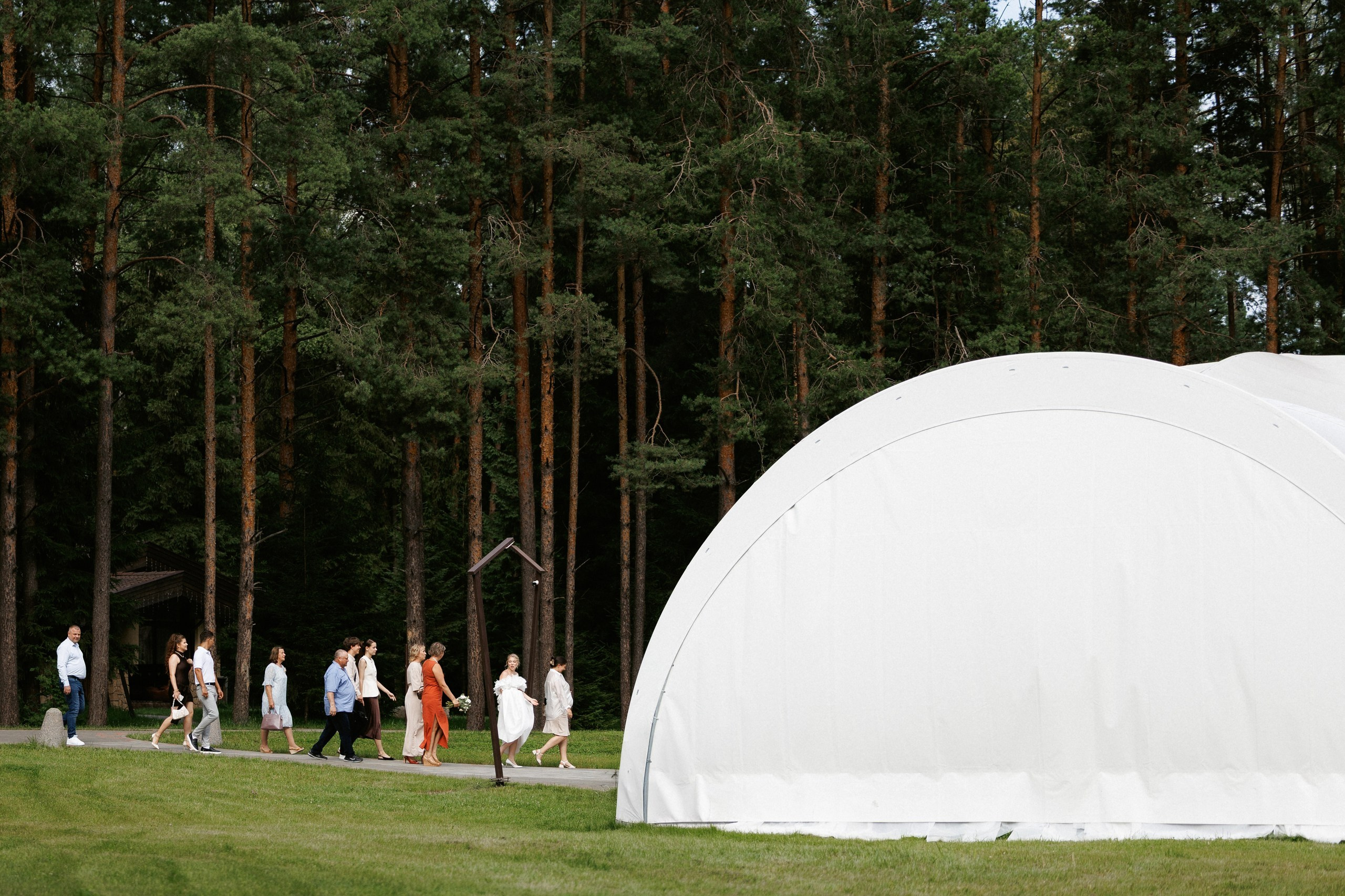 Свадьба под шёпот деревьев. Свадебный и семейный фотограф в Твери, Москве, Санкт-Петербурге